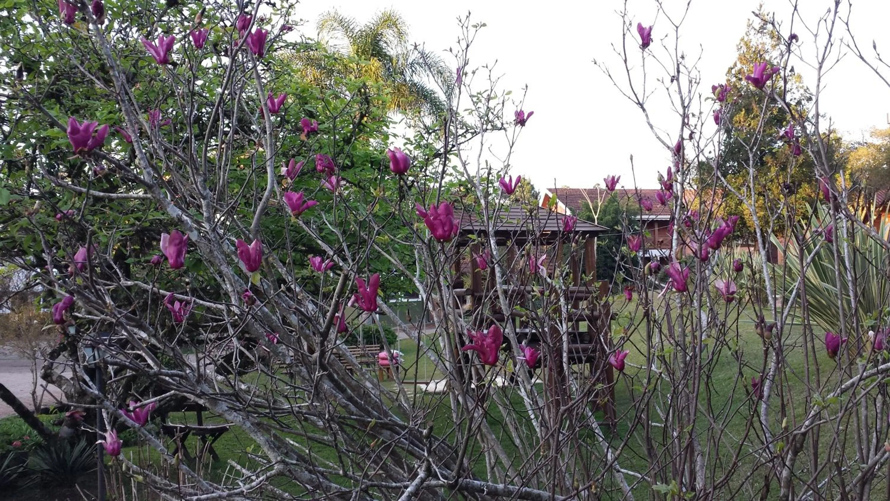 Other in Hotel Canto Verde