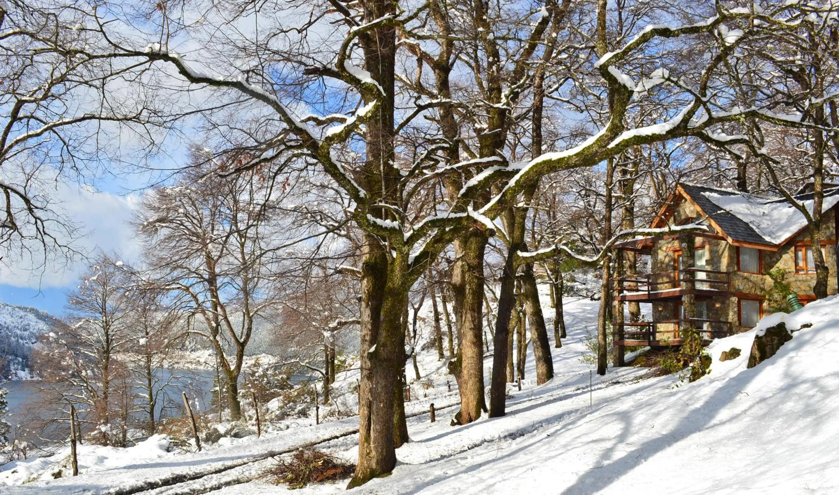 Paihuen - Resort De Montaña