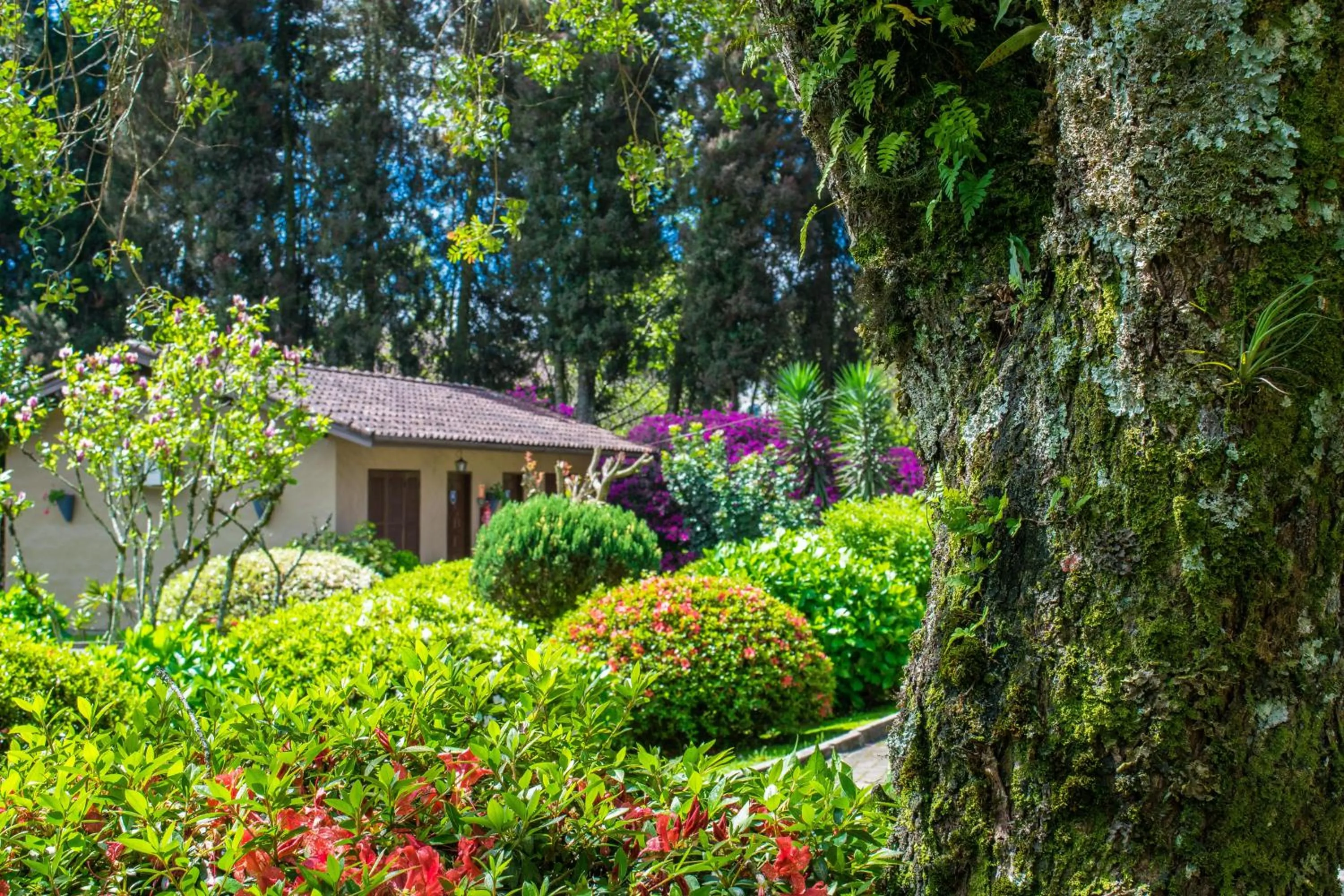 Garden in Hotel Fioreze Quero Quero