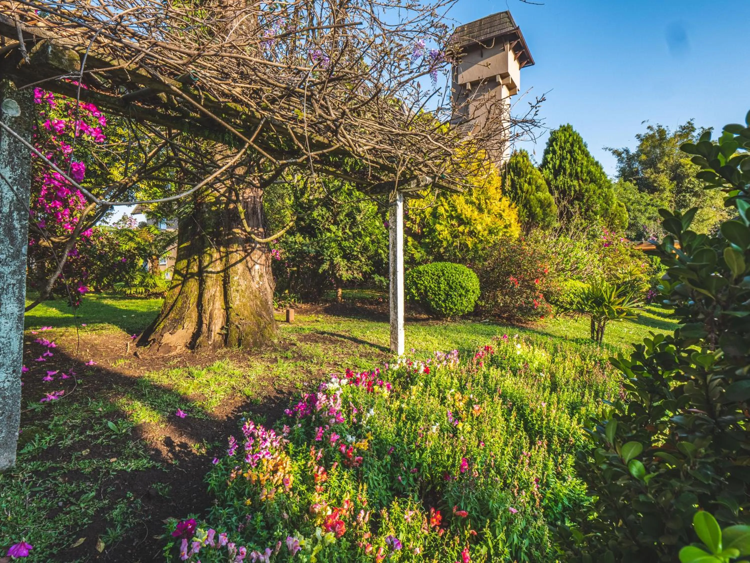 Garden in Hotel Fioreze Quero Quero