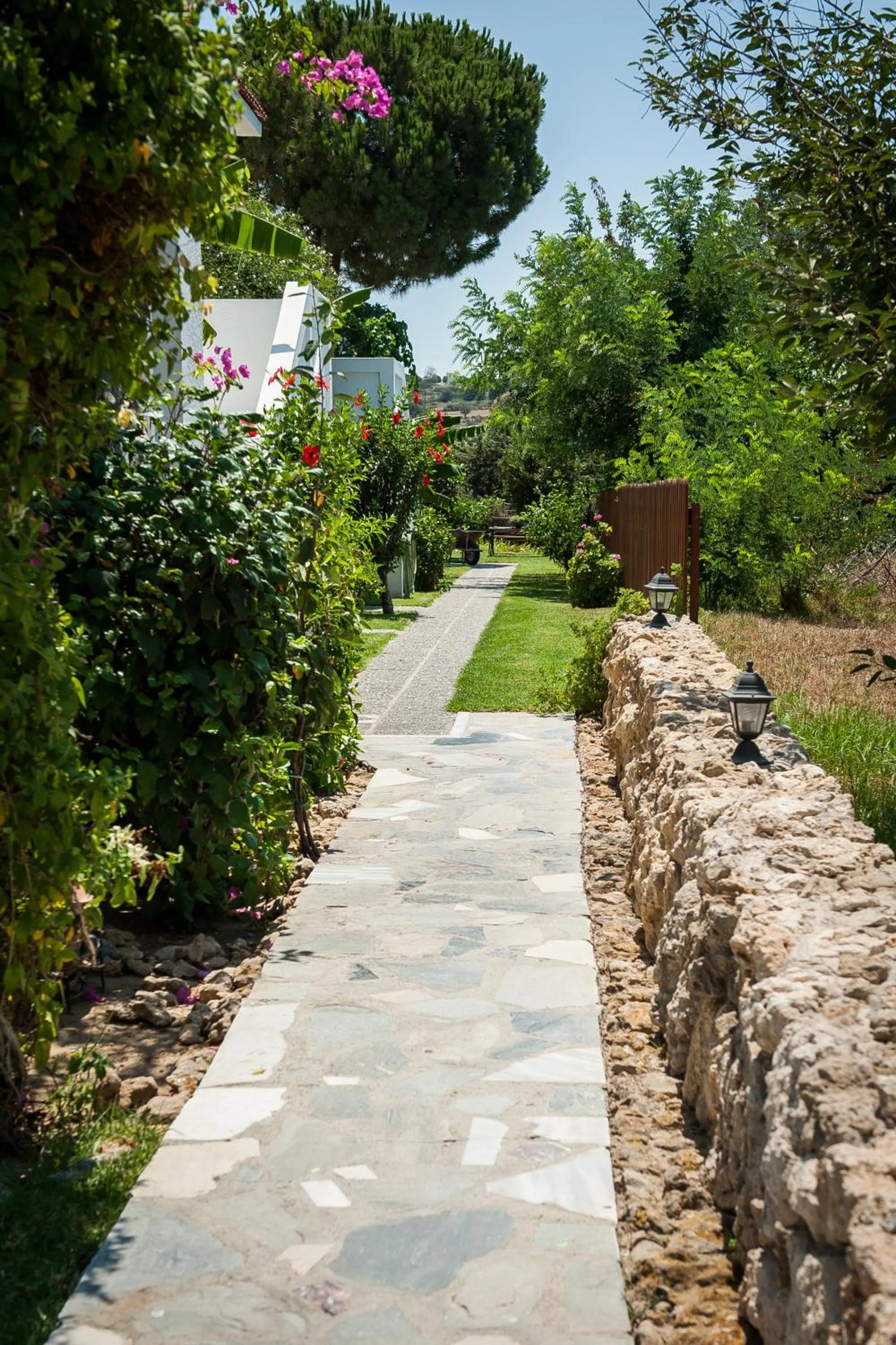 Garden in Ilios and Irene