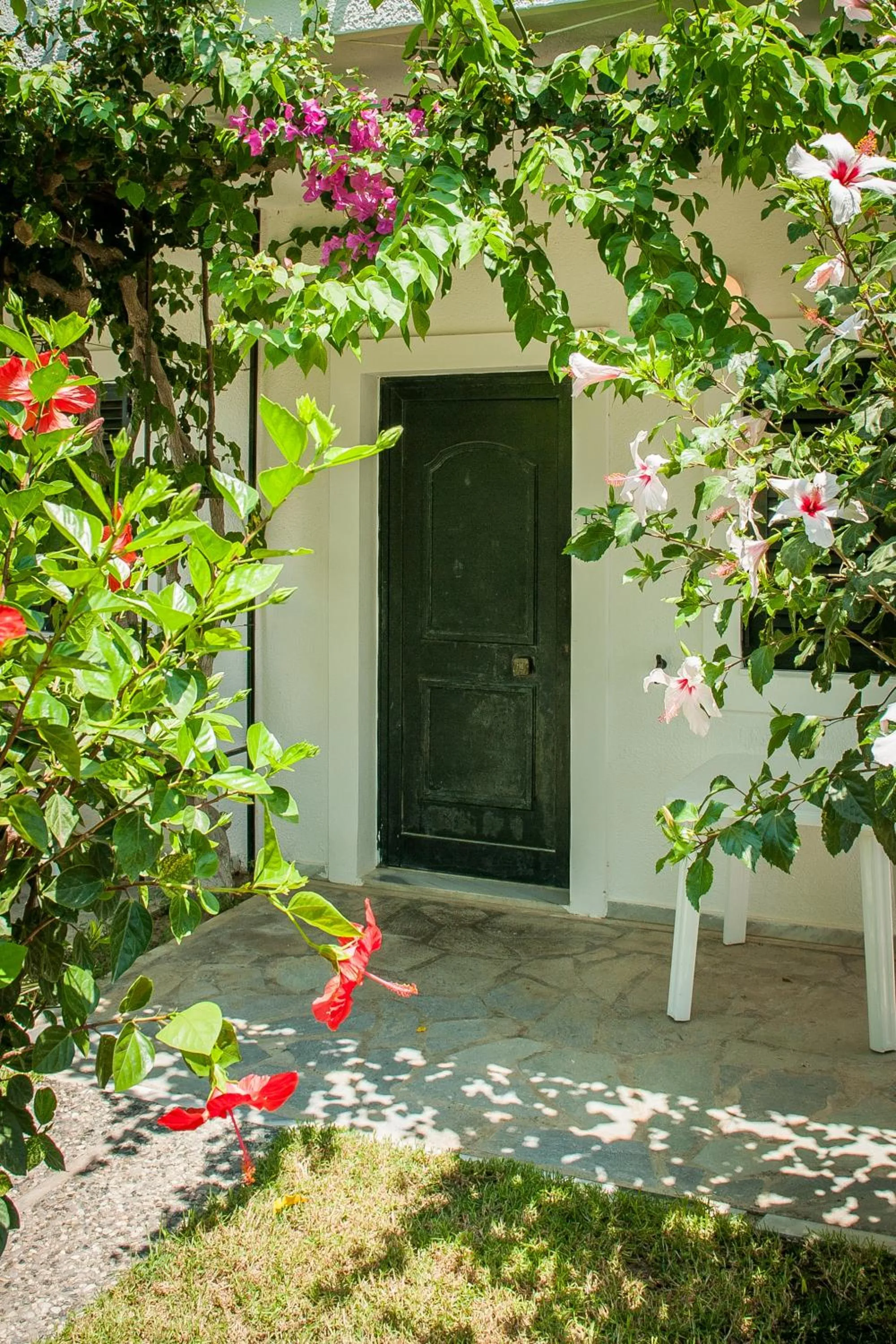 Spring in Ilios and Irene