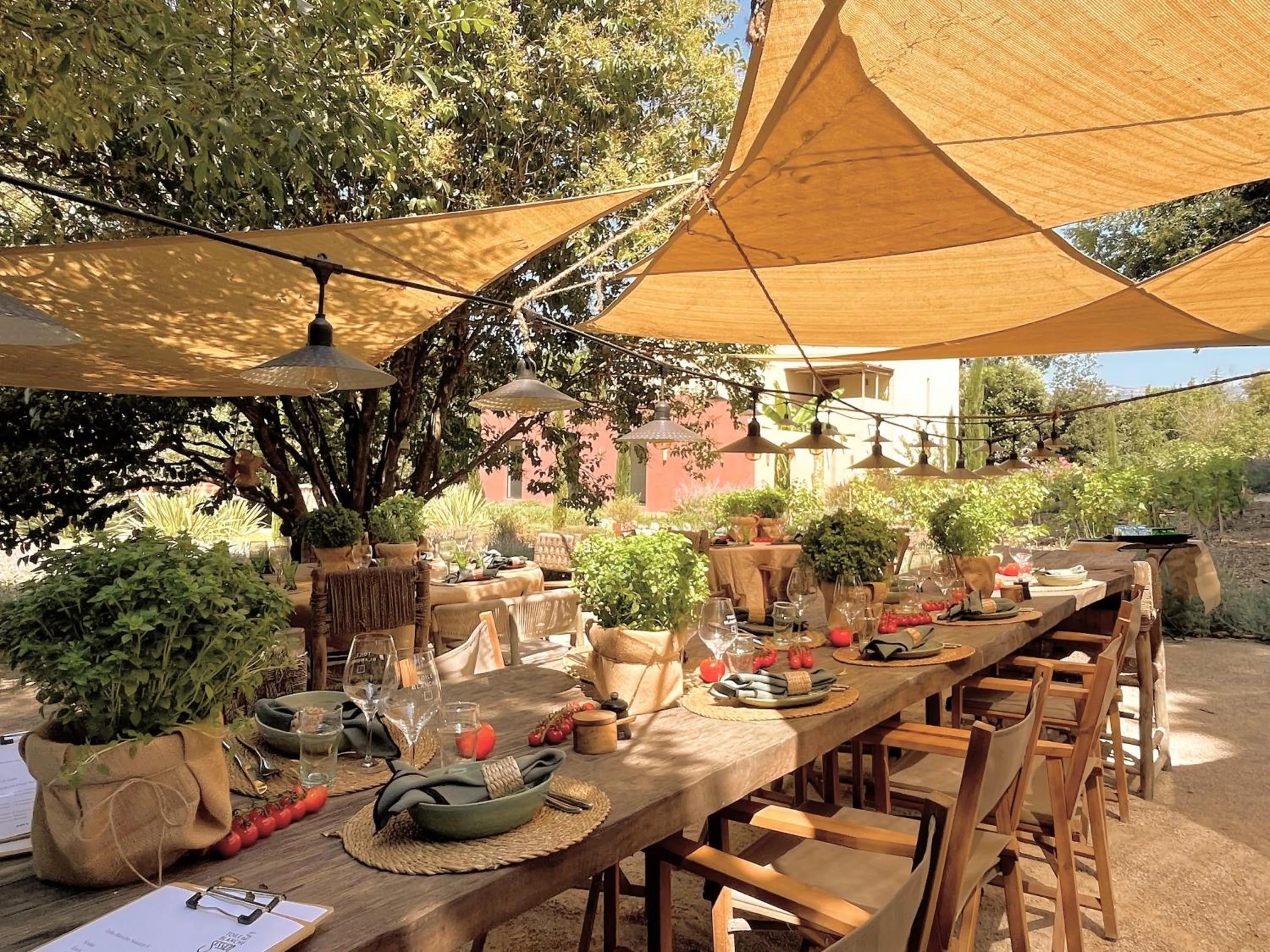 Restaurant/places to eat in Toile Blanche