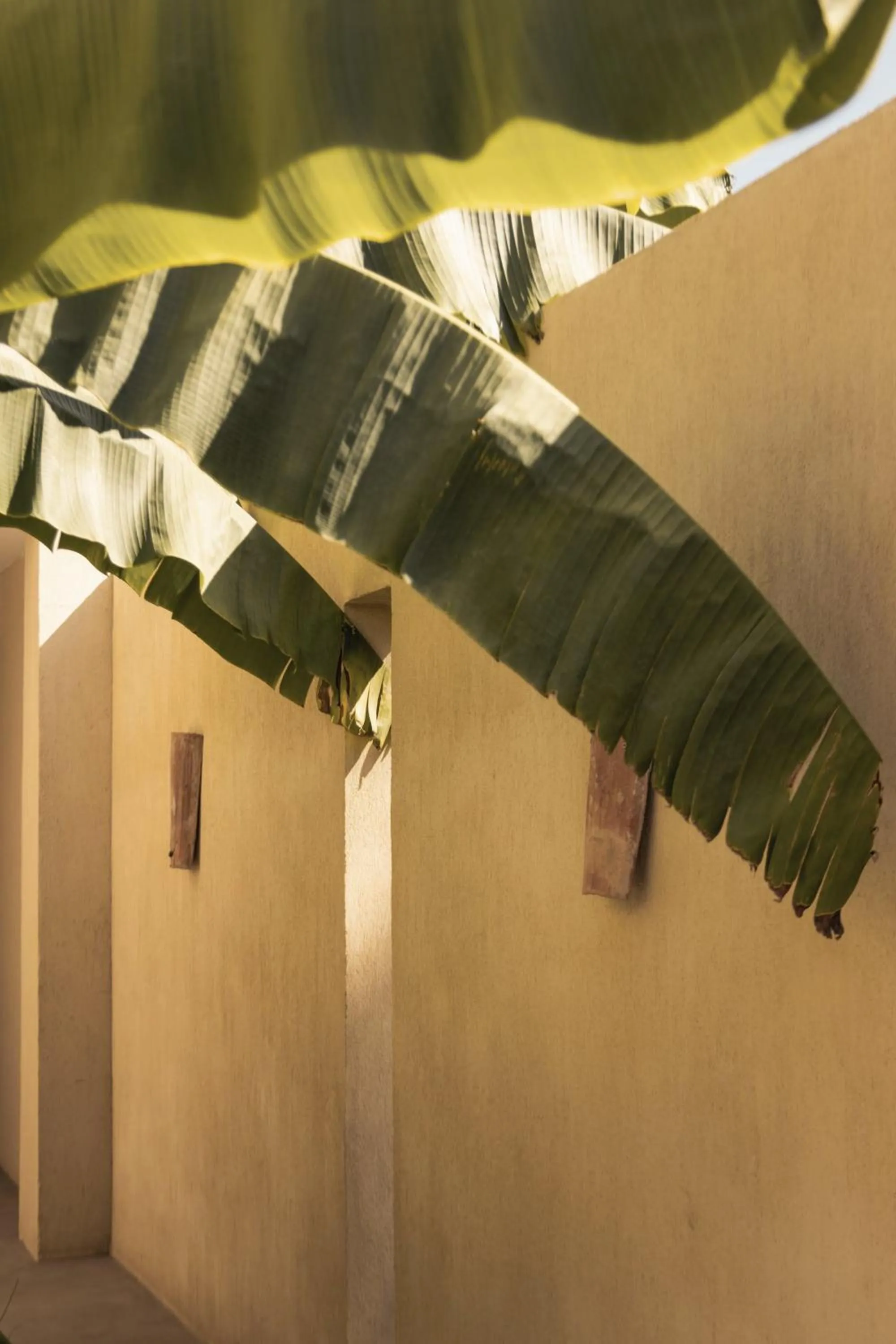 Decorative detail in Toile Blanche