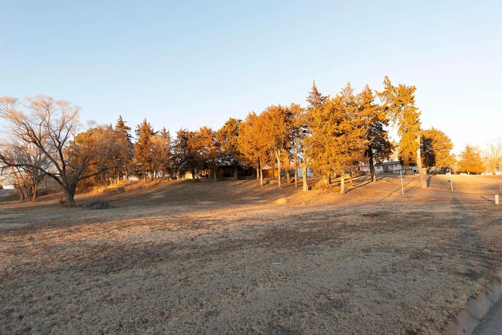 Natural landscape in Cedar Inn