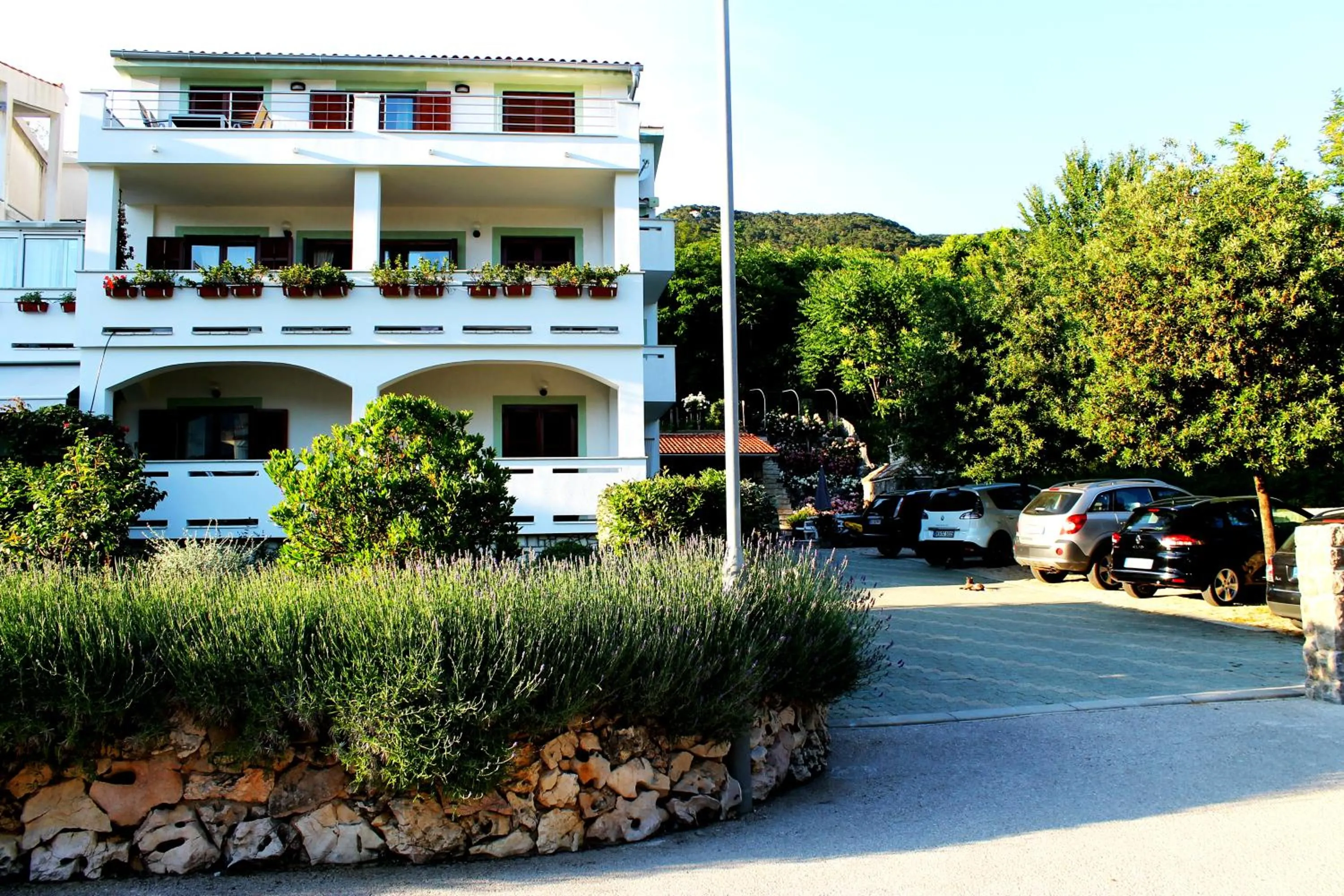 Apartments Frgacic I