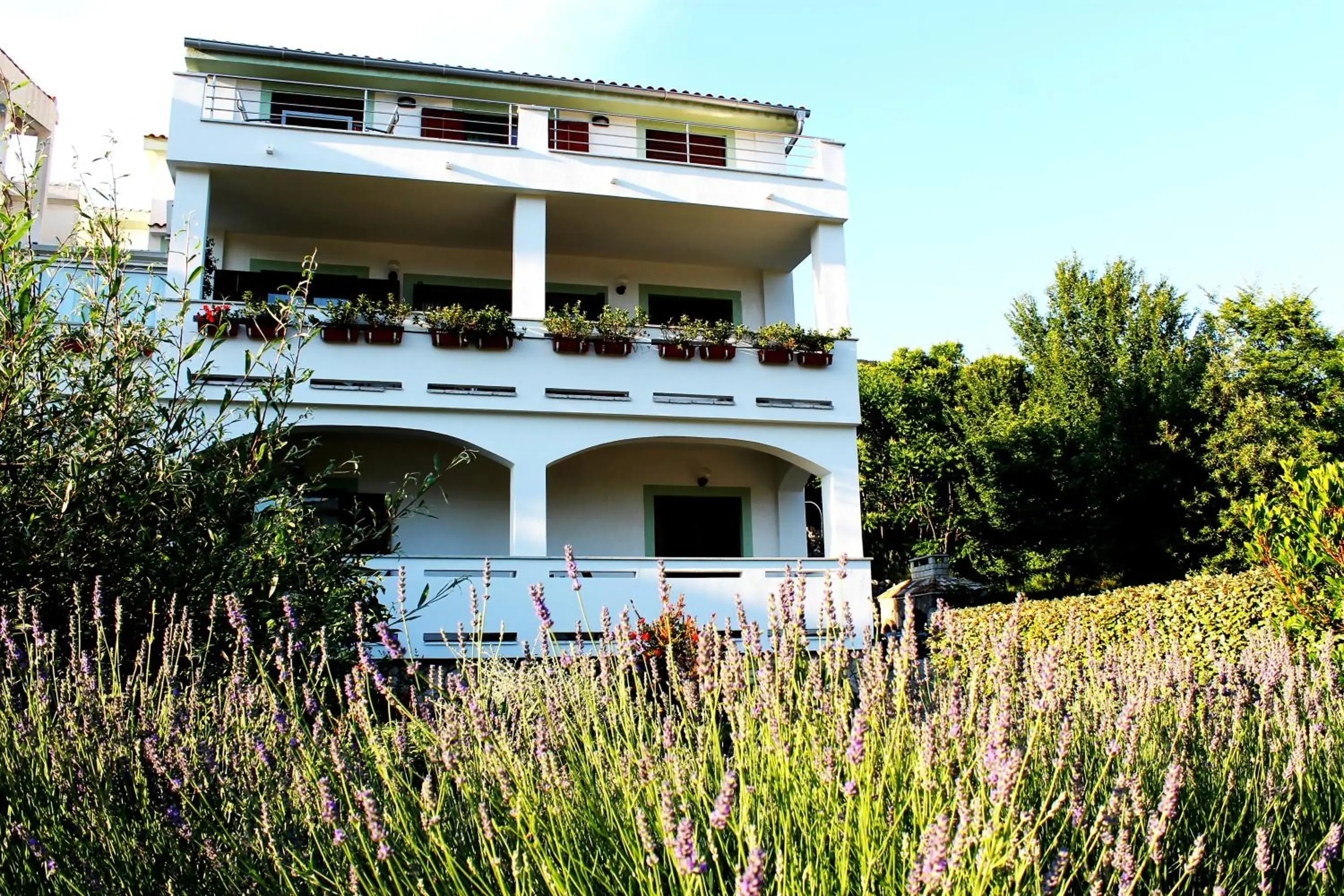 Apartments Frgacic I Apartments Frgacic I