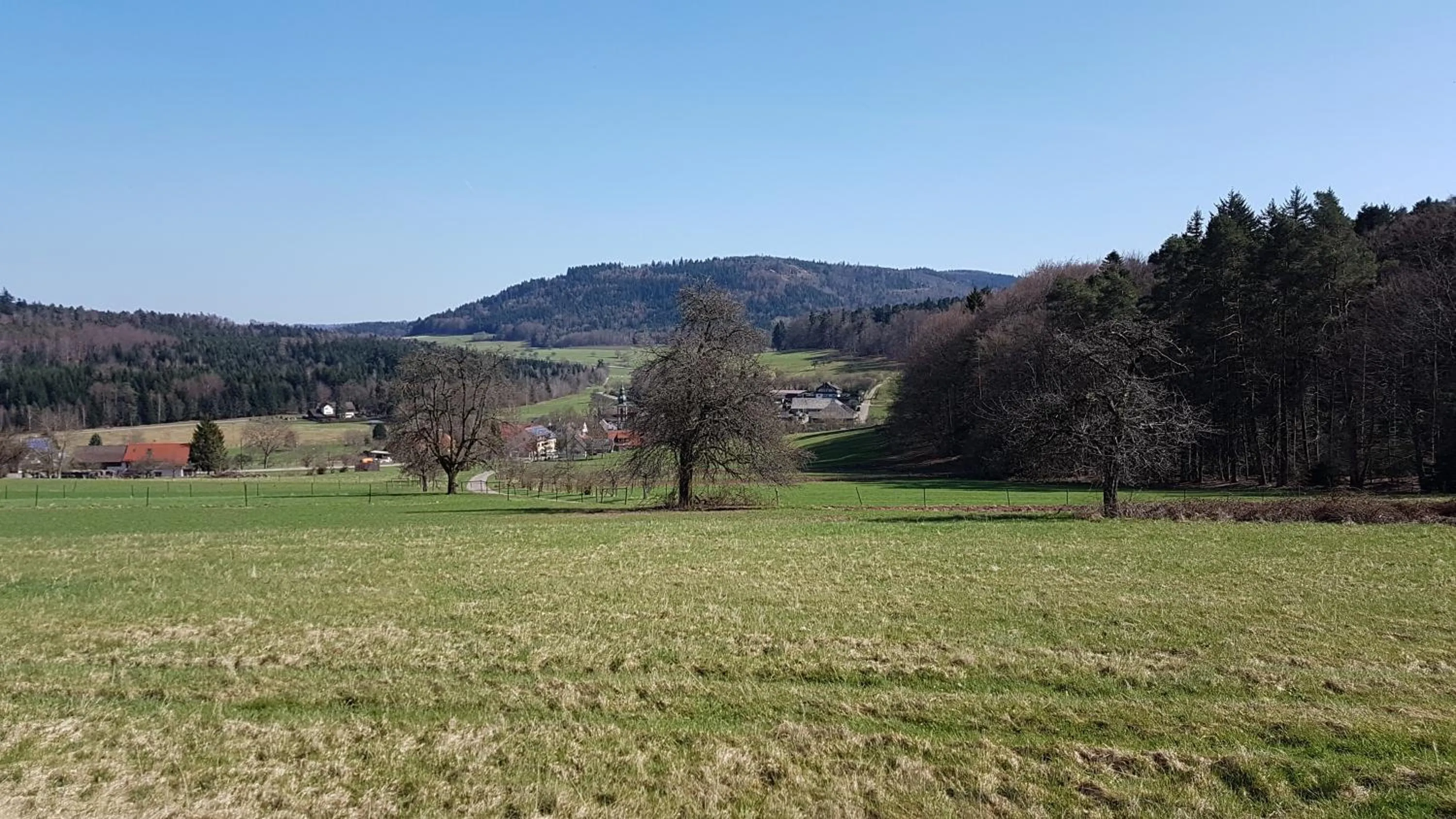 Hiking in Hotel Platzhirsch