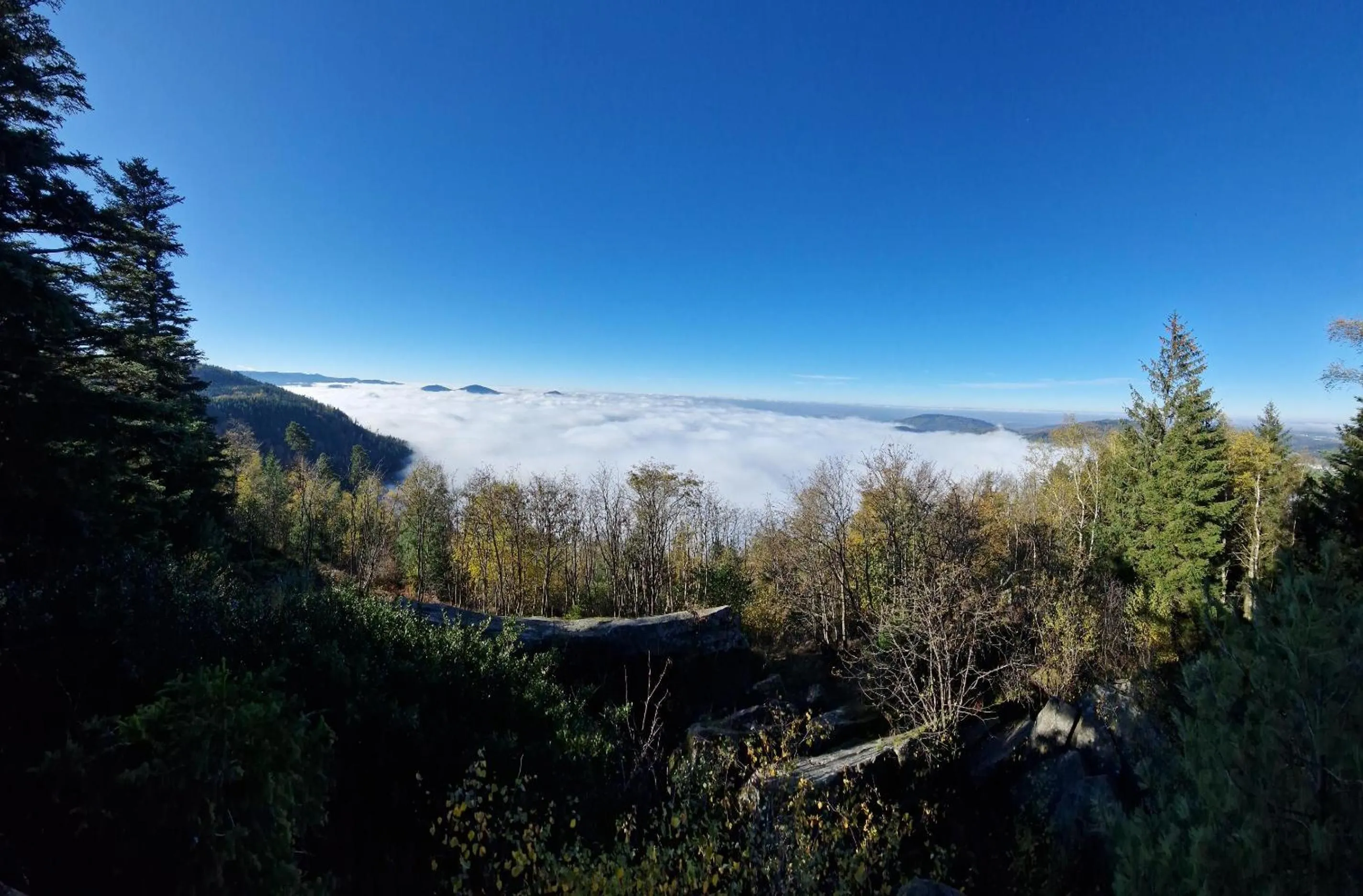 Nearby landmark in Hotel Platzhirsch