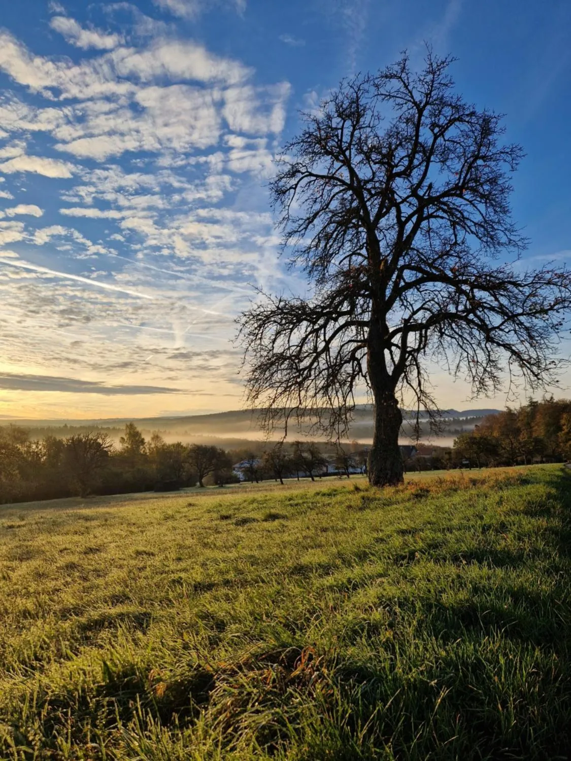Staff in Hotel Platzhirsch