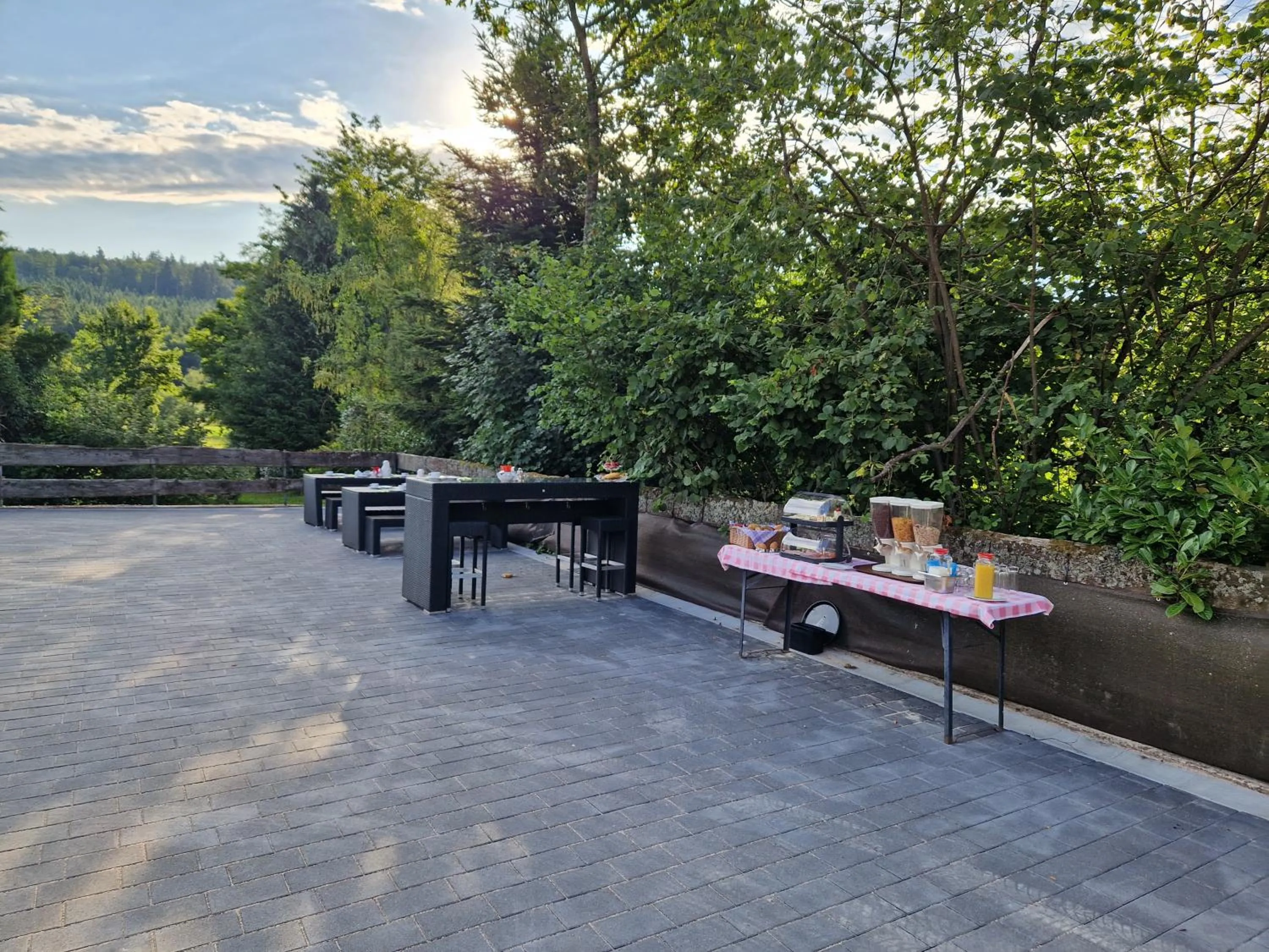 Patio in Hotel Platzhirsch