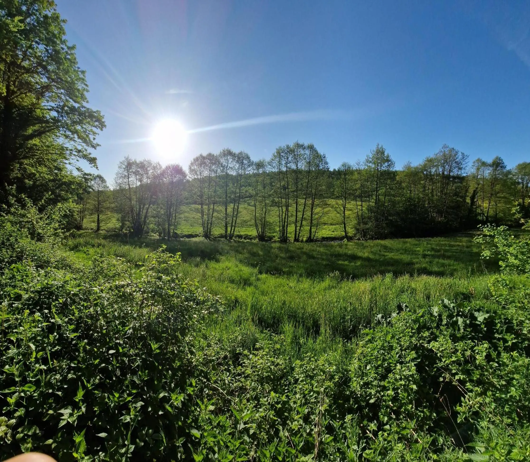 Spring in Hotel Platzhirsch