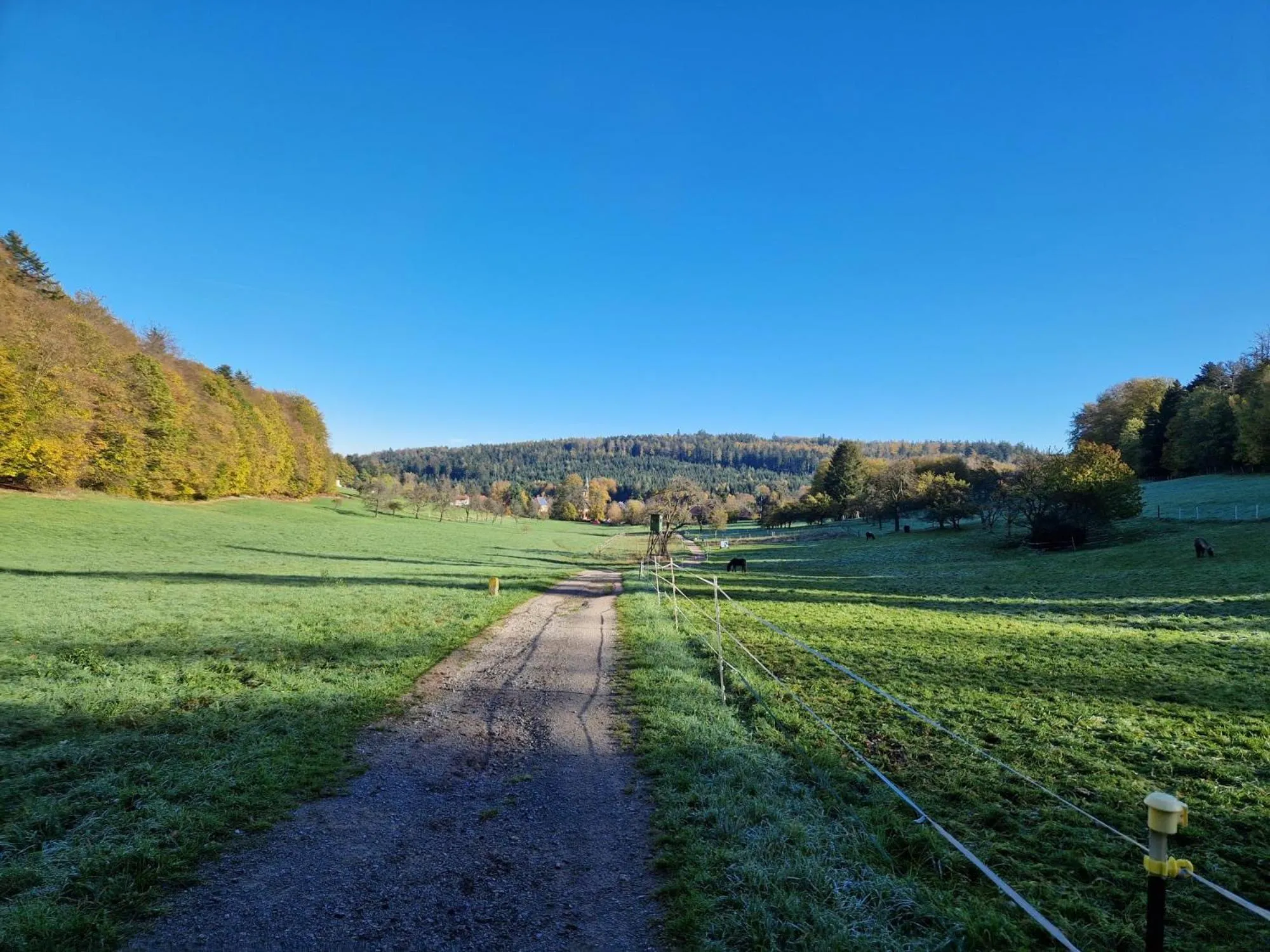 Spring in Hotel Platzhirsch