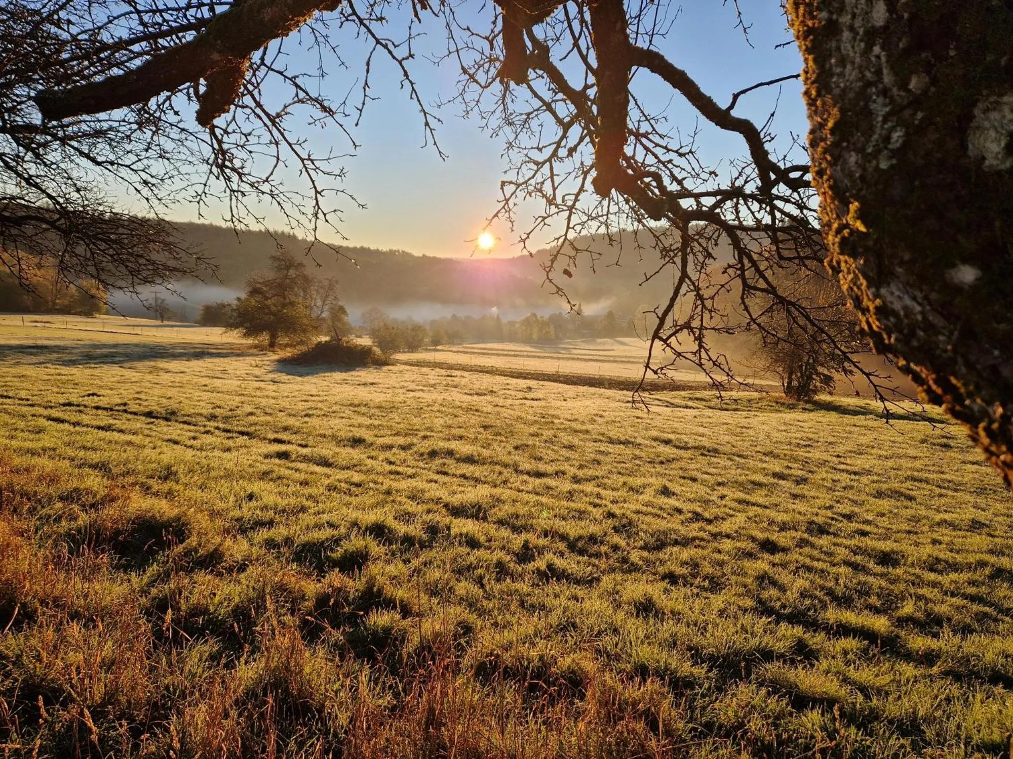 Staff in Hotel Platzhirsch