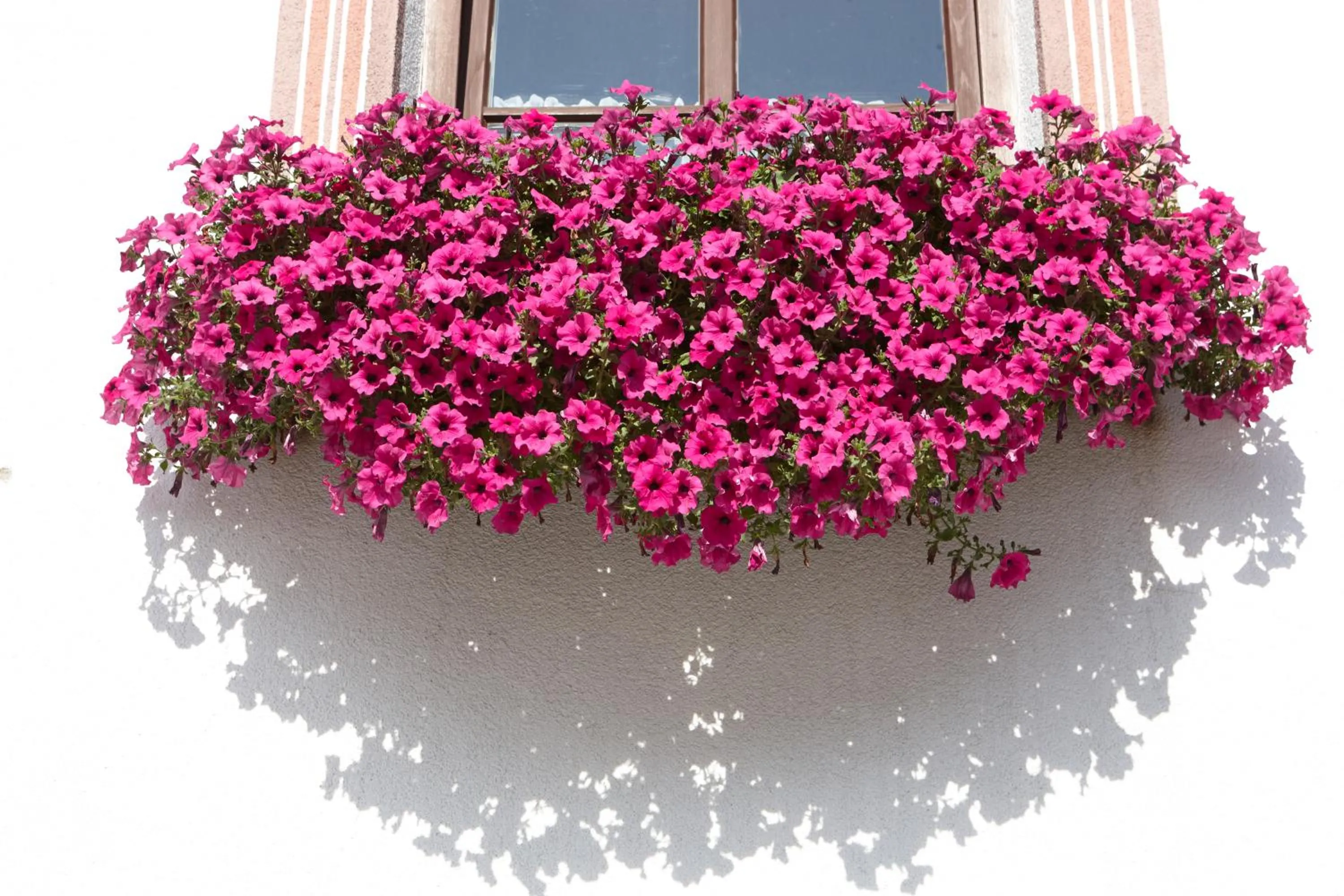 Facade/entrance in Hotel Gasthof Neuner
