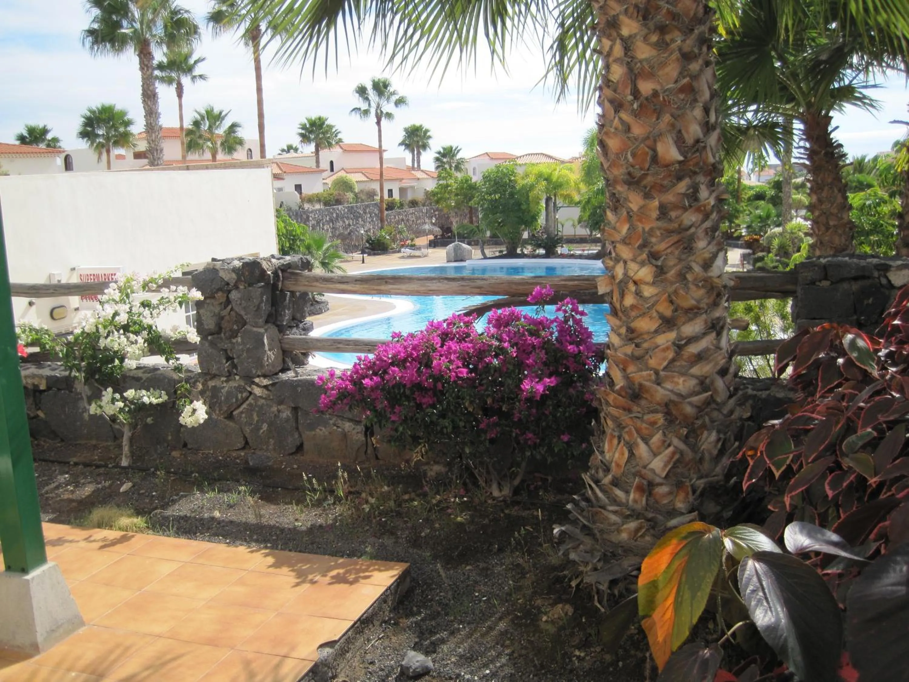 Garden in Las Adelfas 2