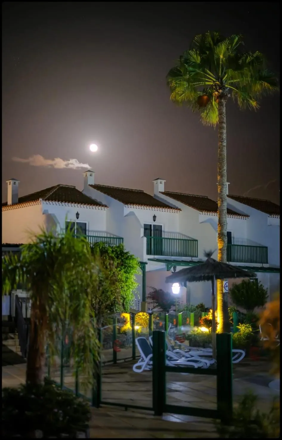 Night in Las Adelfas 2