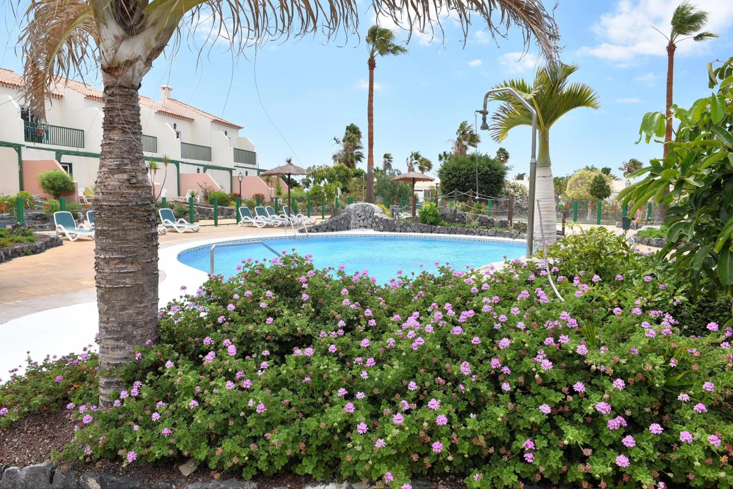 Garden in Las Adelfas 2