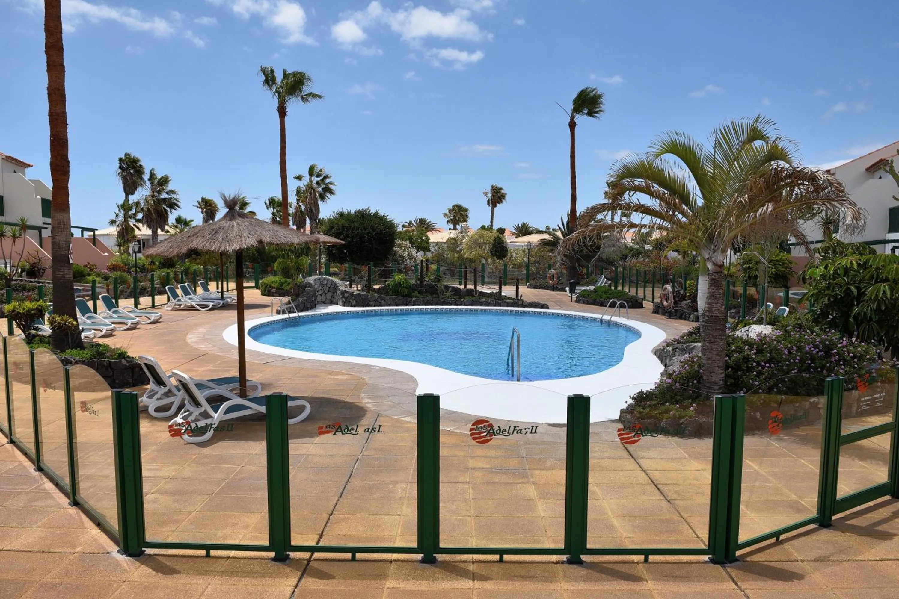 Swimming pool in Las Adelfas 2