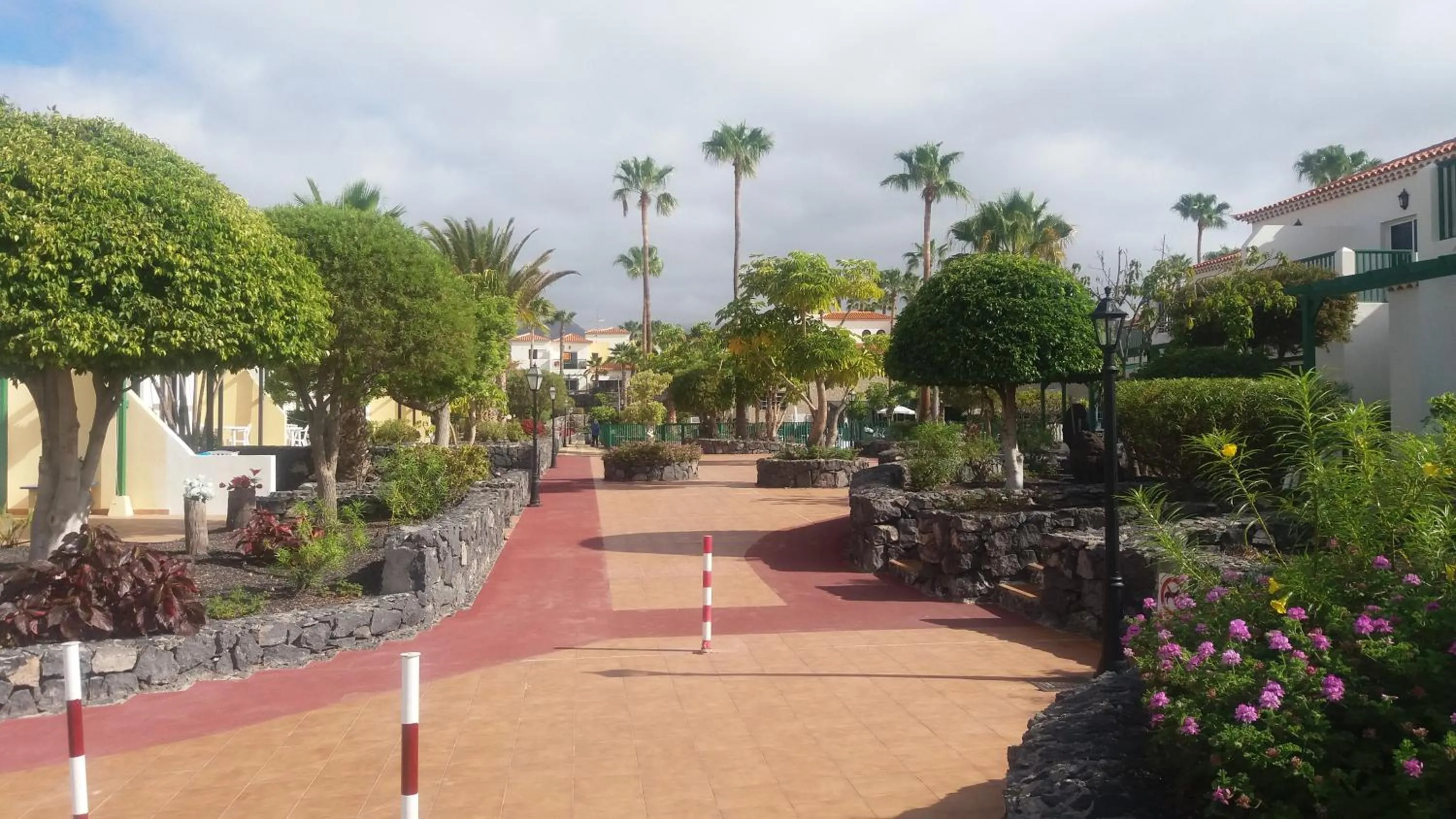 Garden in Las Adelfas 2