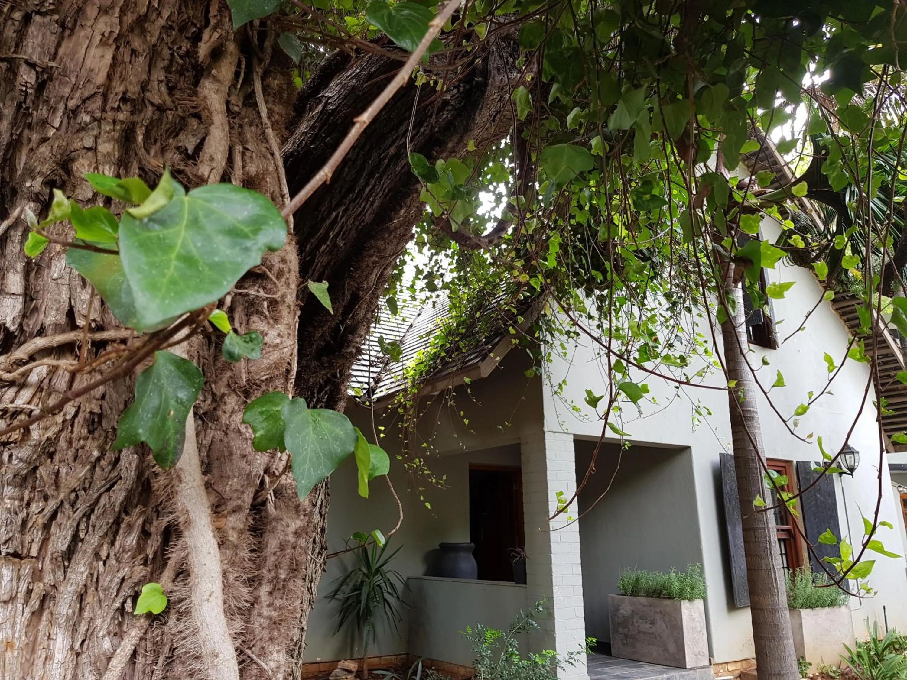 Property building in 440@Brooklyn