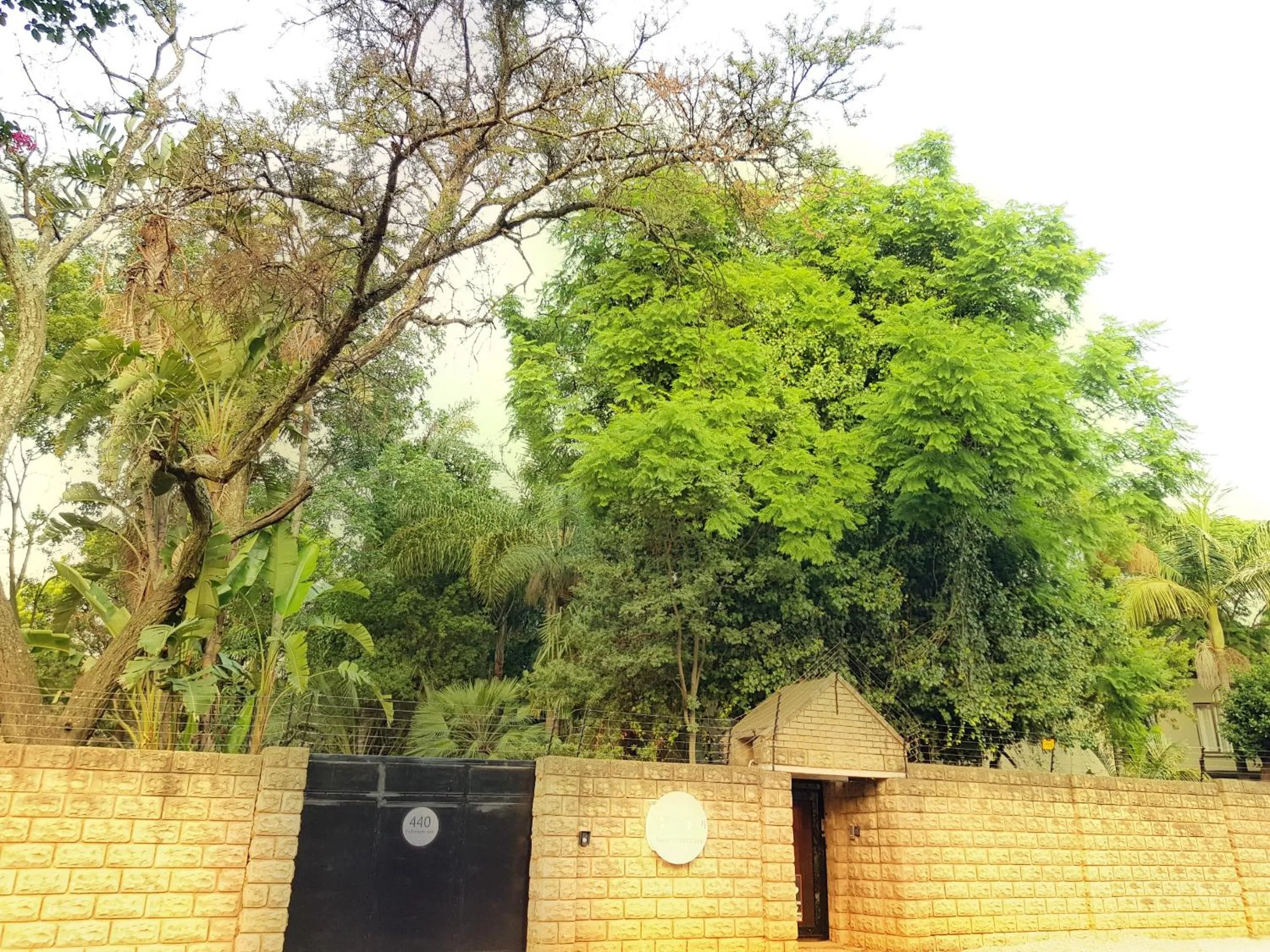 Street view in 440@Brooklyn