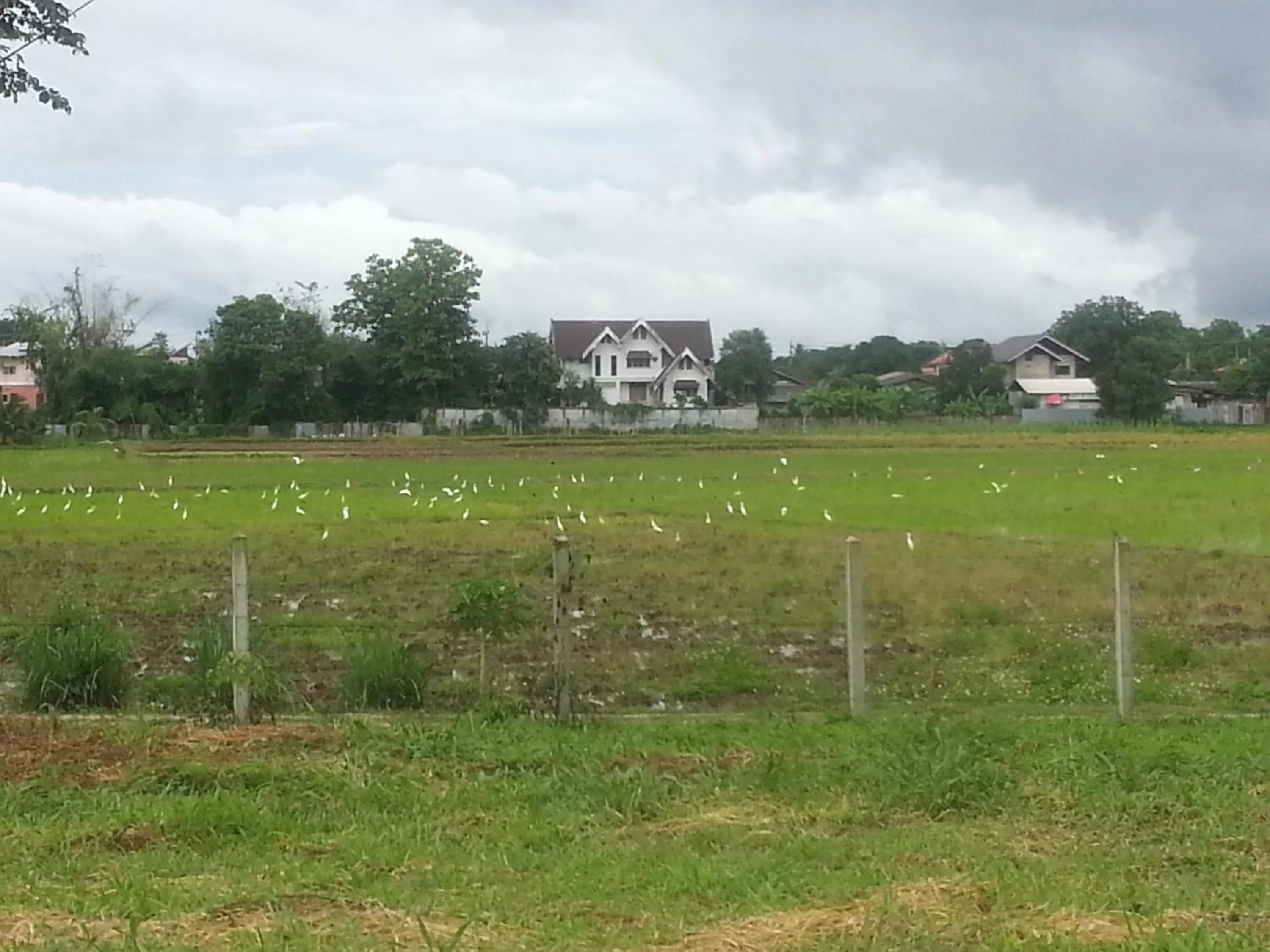 Natural landscape in Queue&Bright Resort