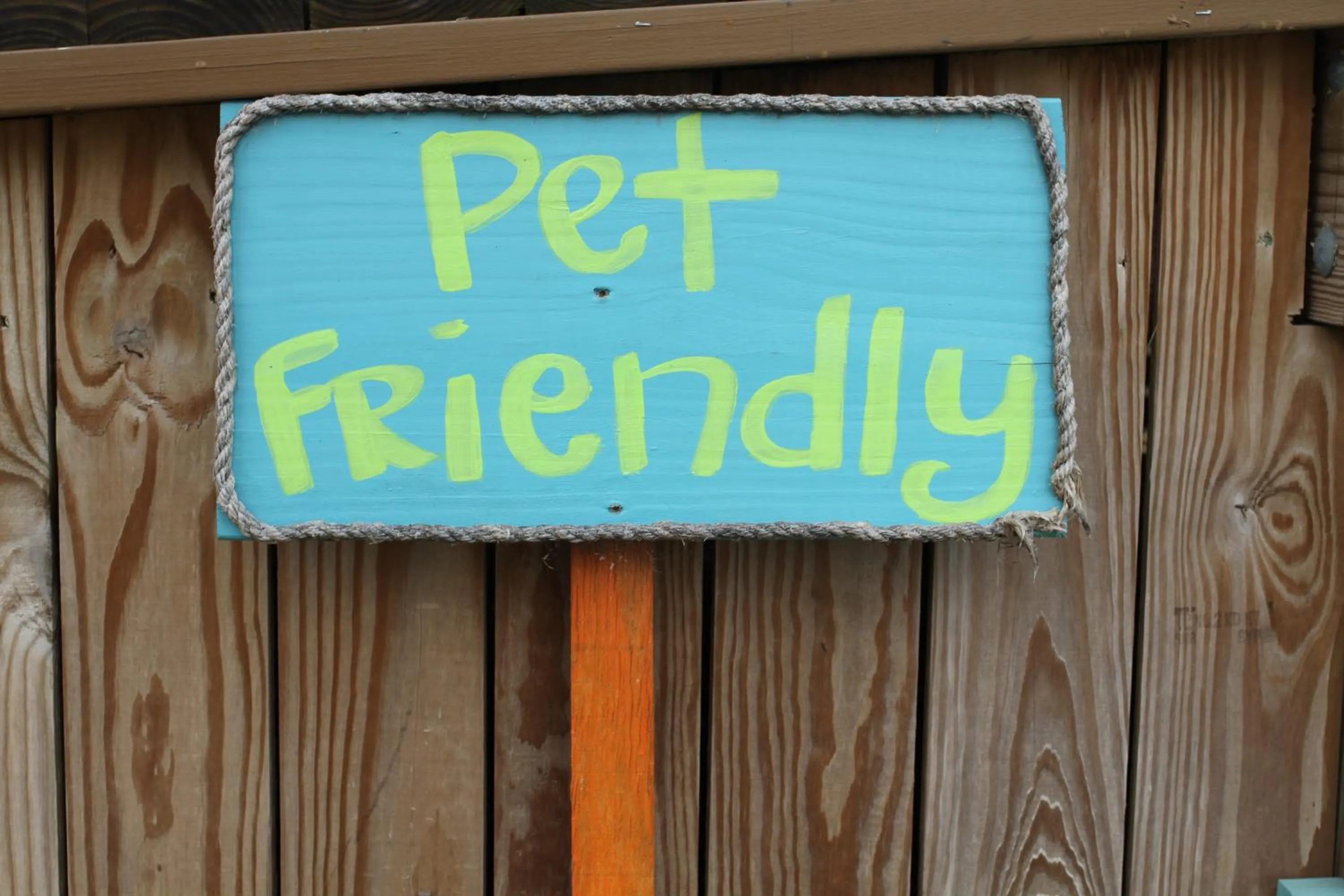 Pets in Panorama Hotel - Restaurant