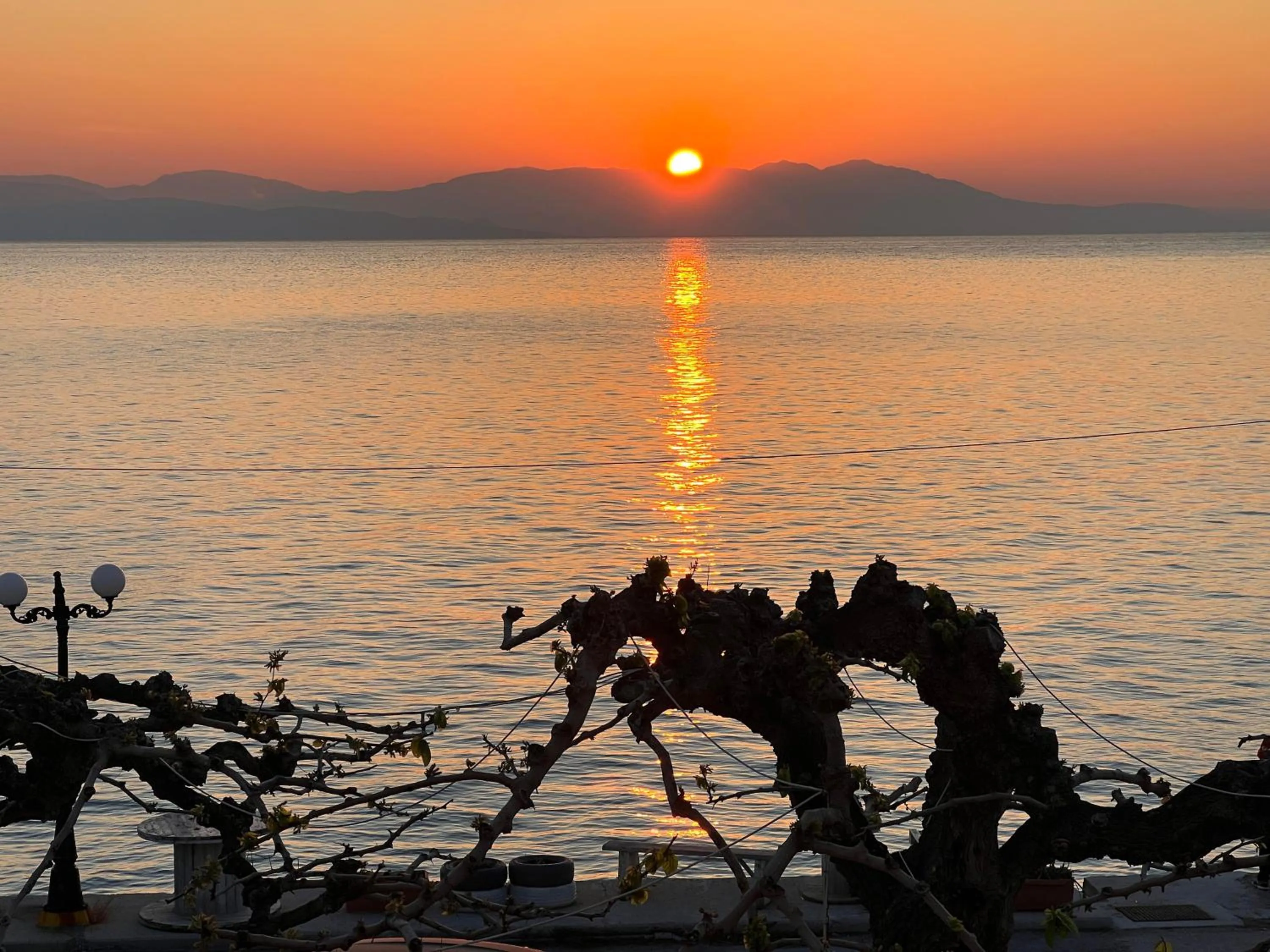 Panorama Hotel - Restaurant