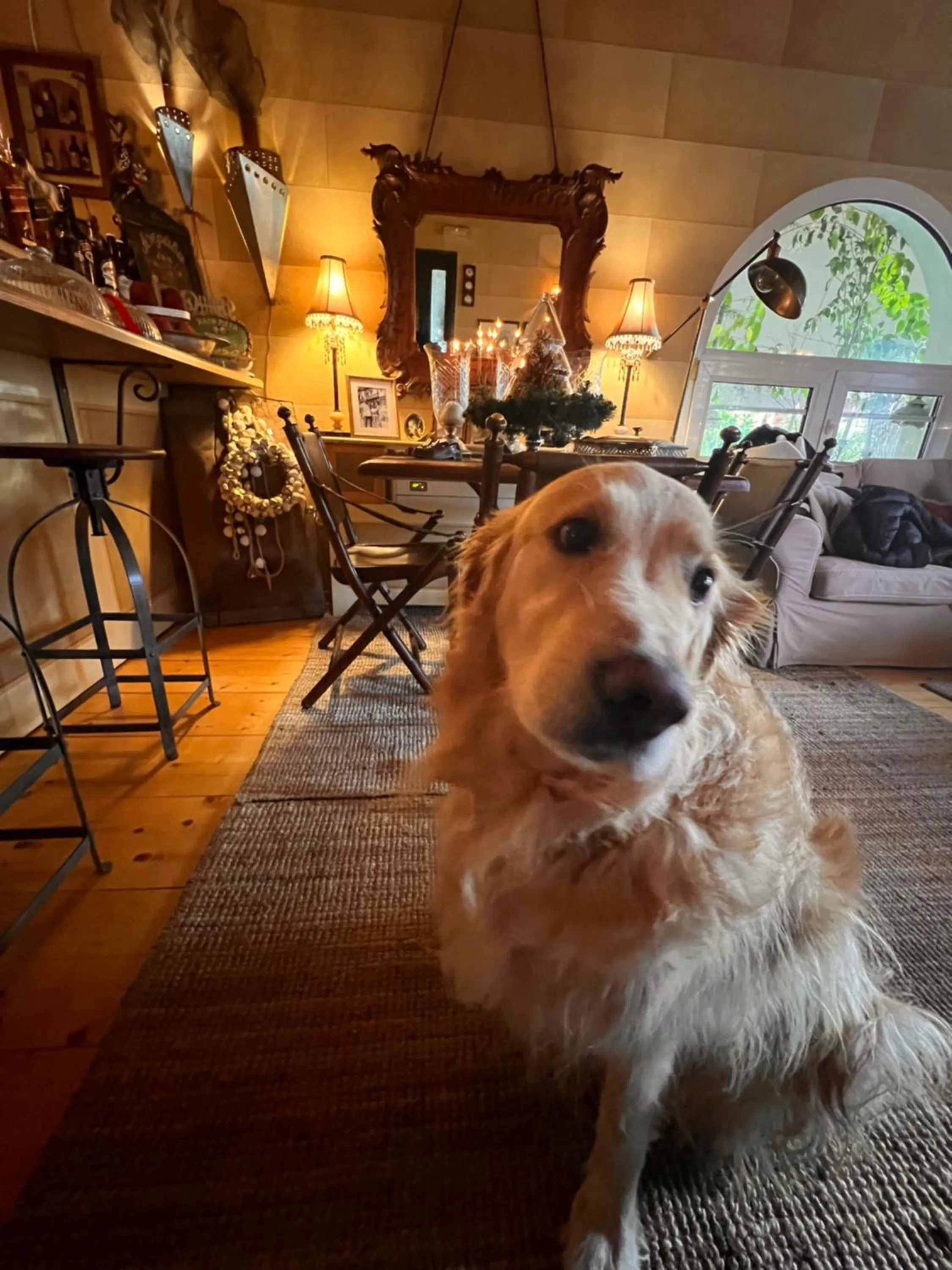 Anerada inn Suites & Spa - Pet Friendly