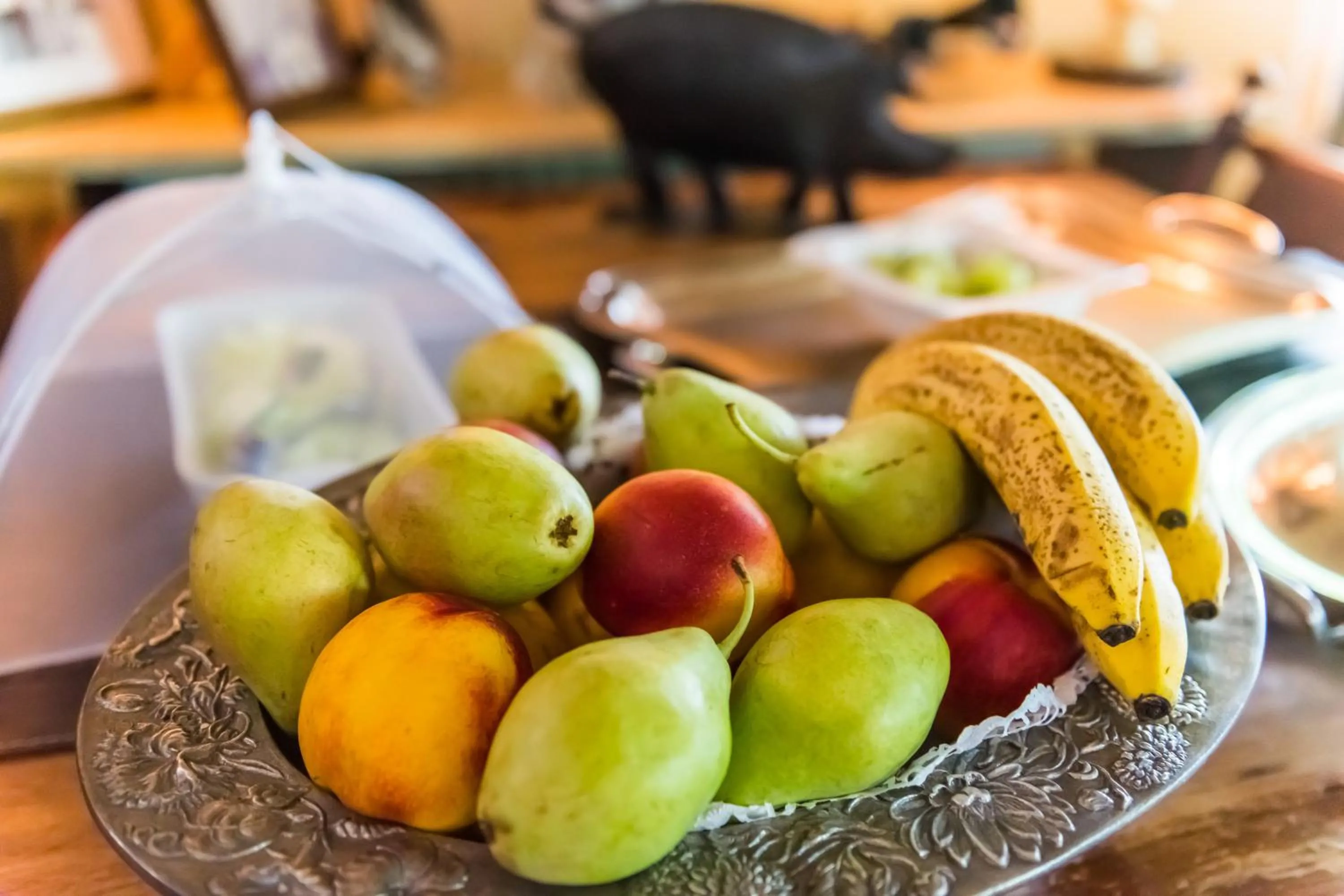 Anerada inn Suites & Spa - Pet Friendly