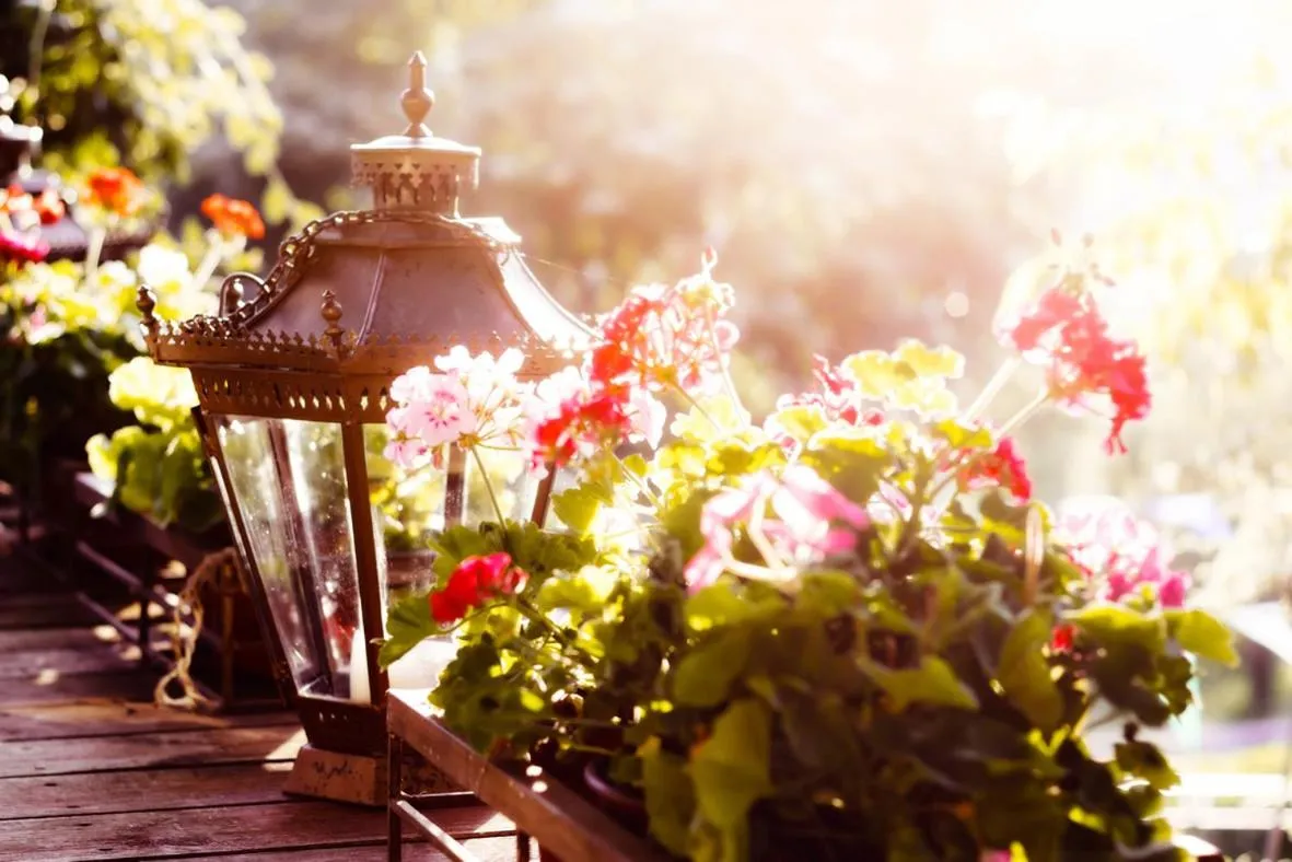 Anerada inn Suites & Spa - Pet Friendly