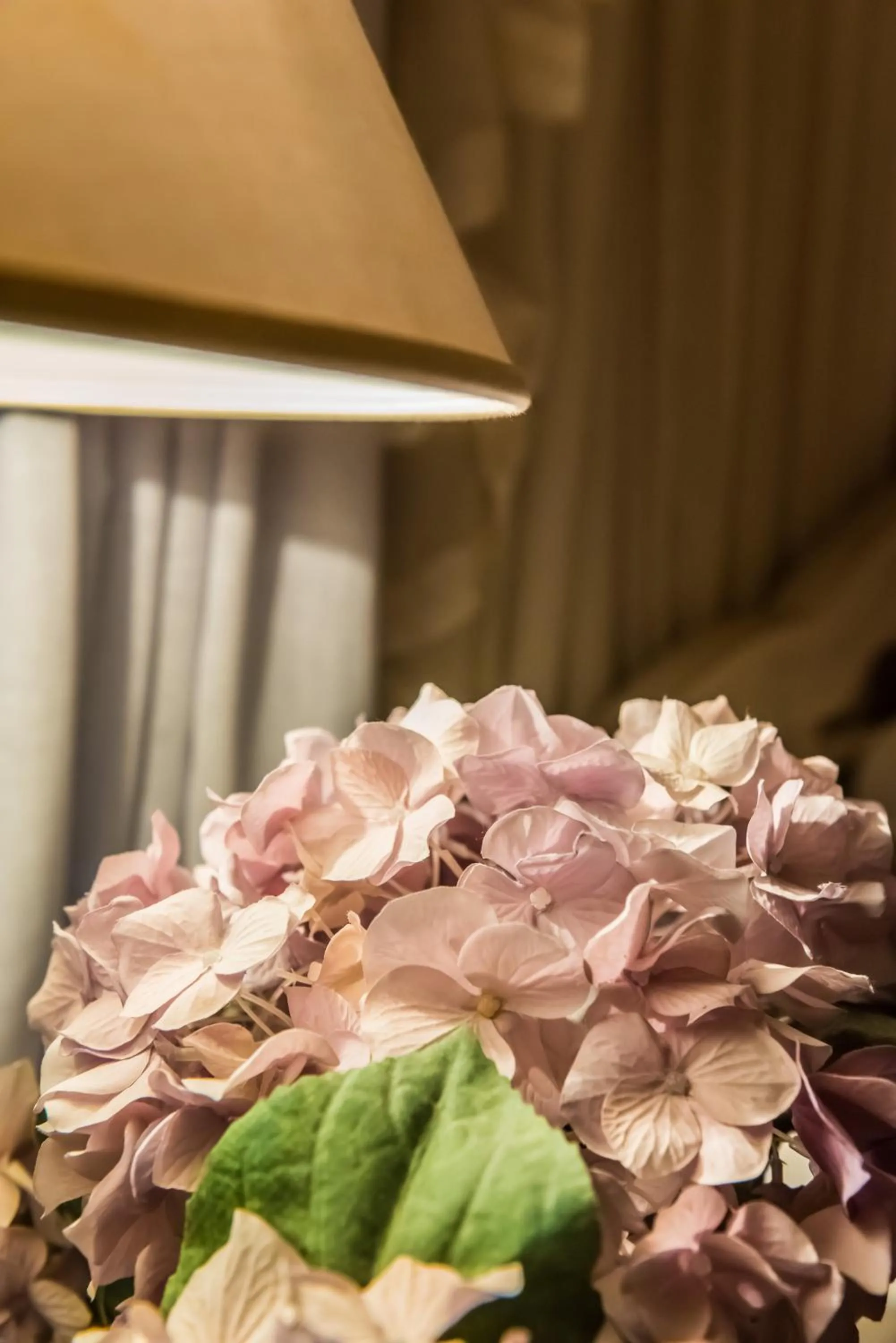 Anerada inn Suites & Spa - Pet Friendly