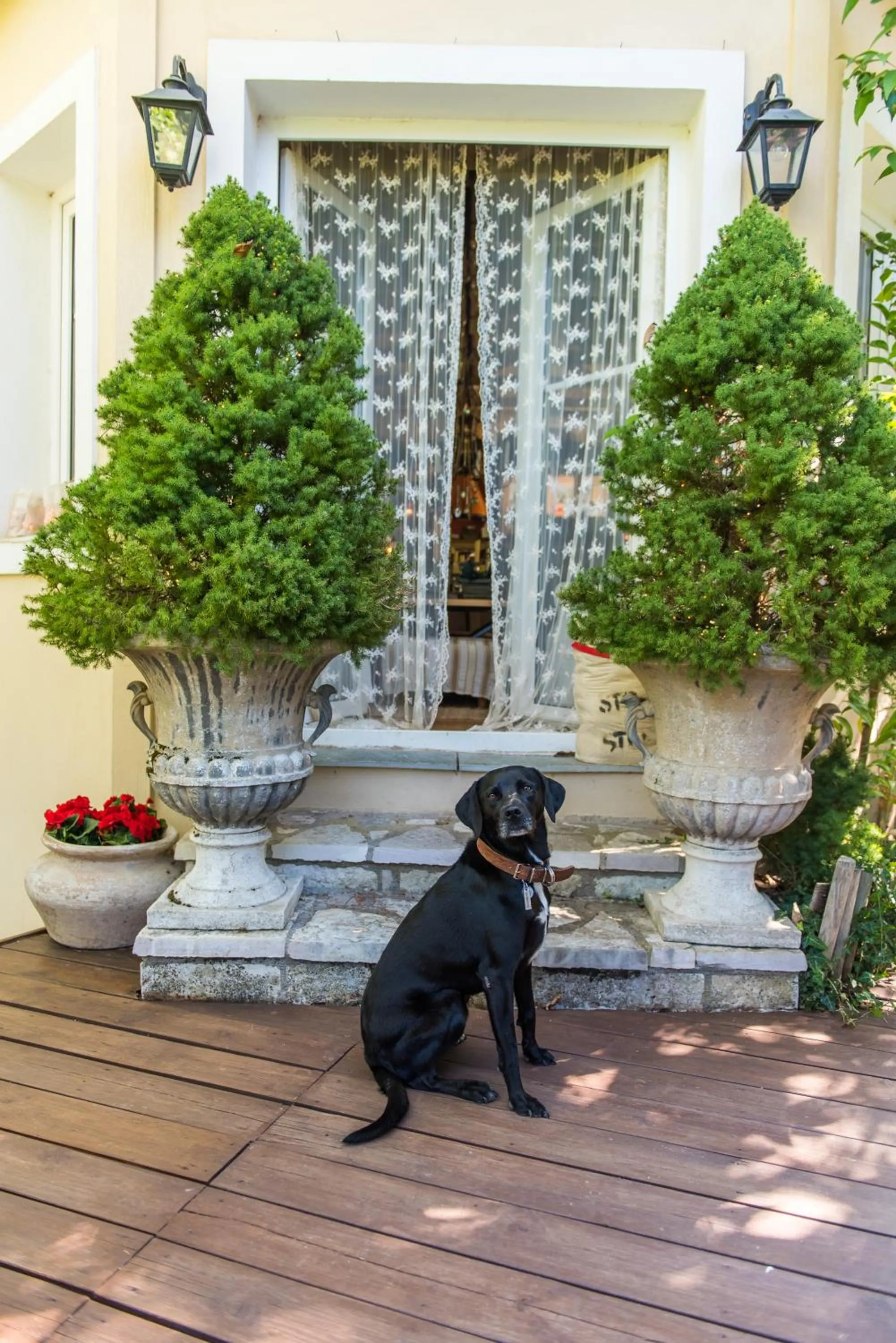 Anerada inn Suites & Spa - Pet Friendly