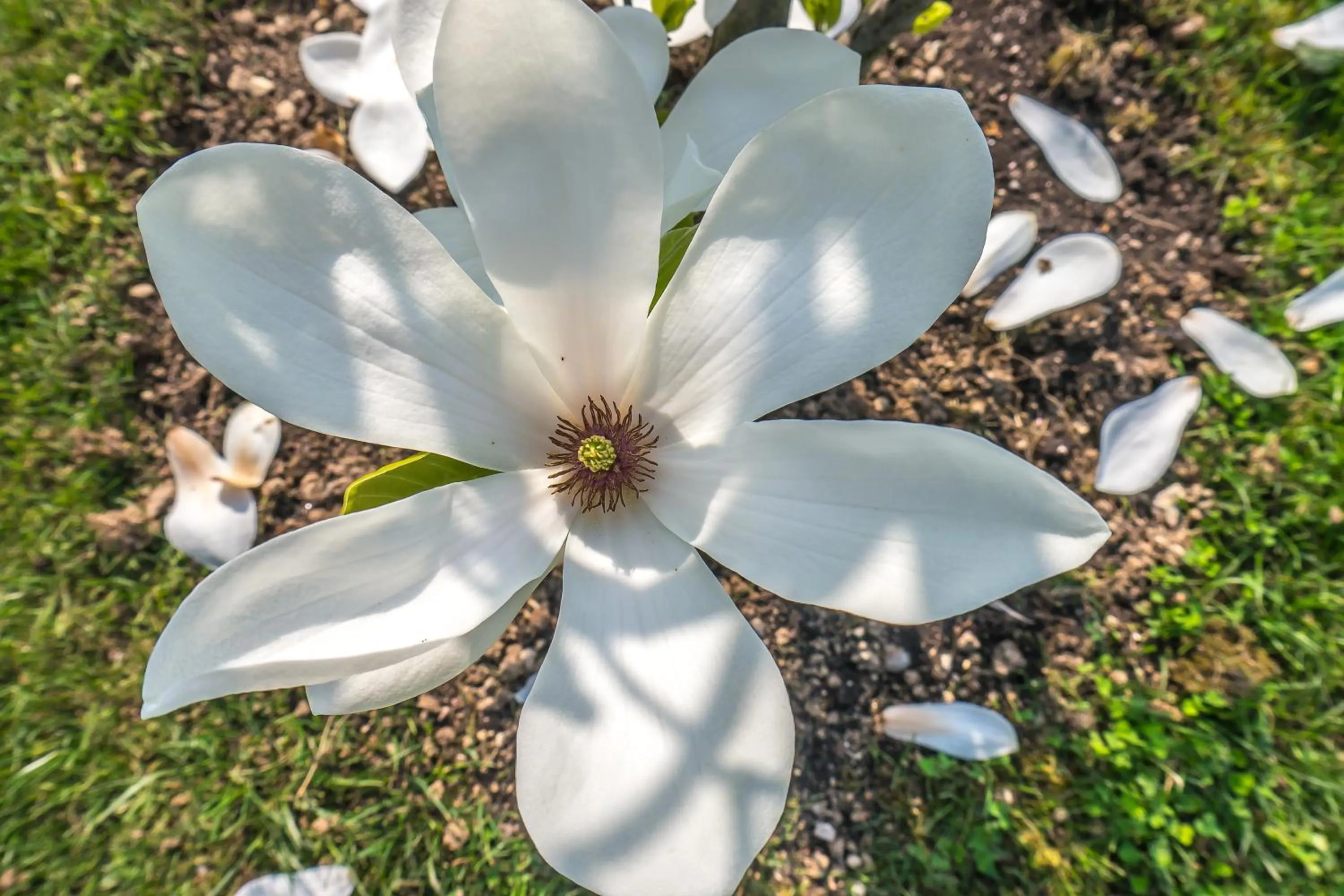 Other in Residence Oasi