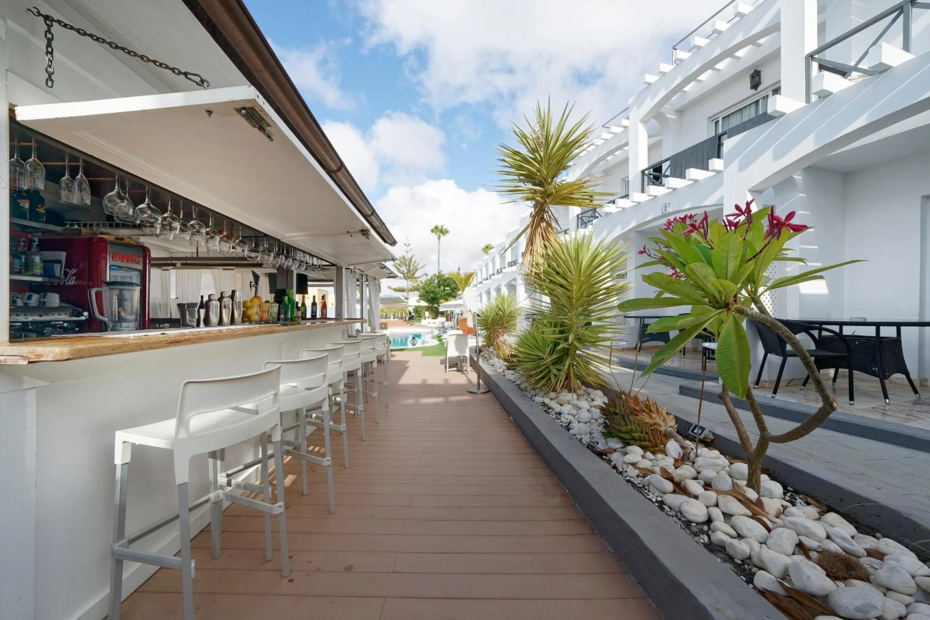 Lounge or bar in Vista Bonita - Gay and Lesbian Only Resort