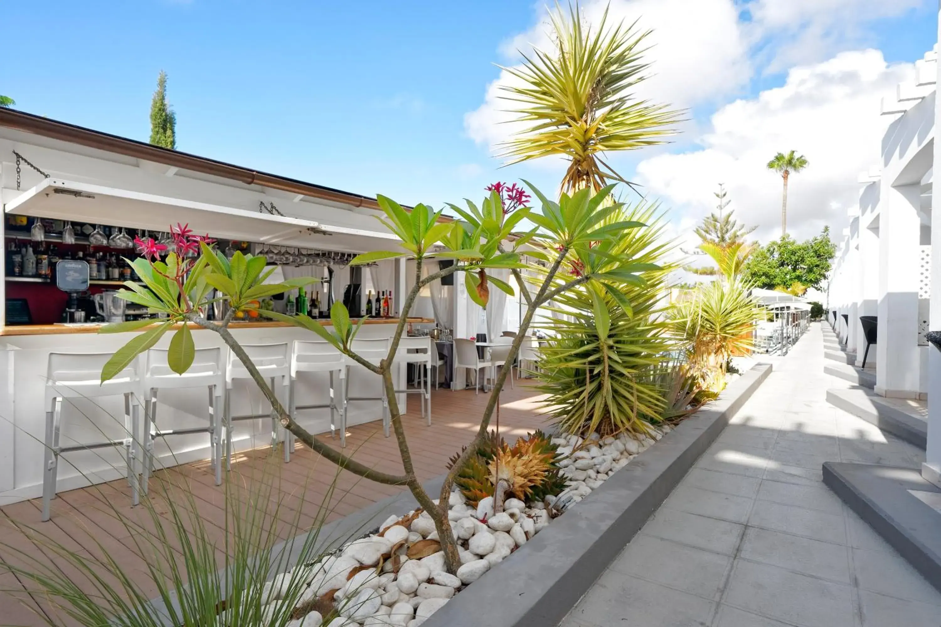 Lounge or bar in Vista Bonita - Gay and Lesbian Only Resort Lounge or bar in Vista Bonita - Gay and Lesbian Only Resort