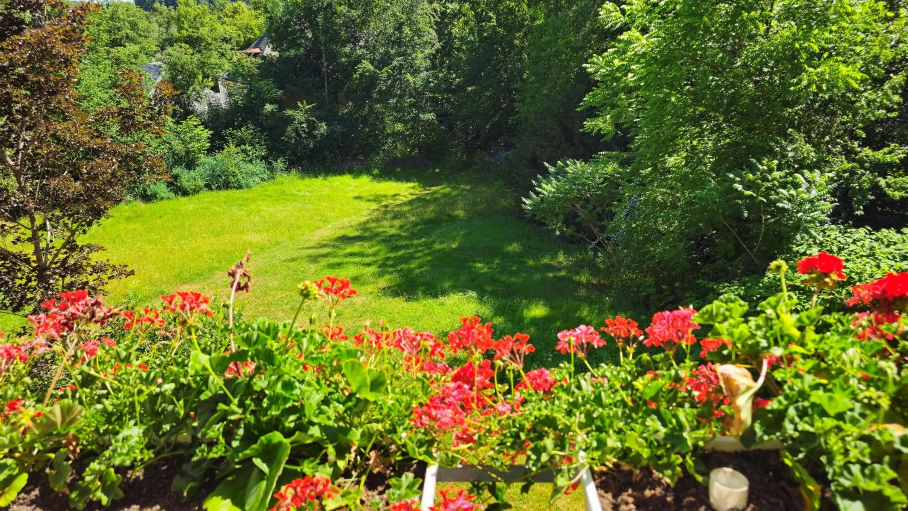 Garden in Villa Sonnenhof