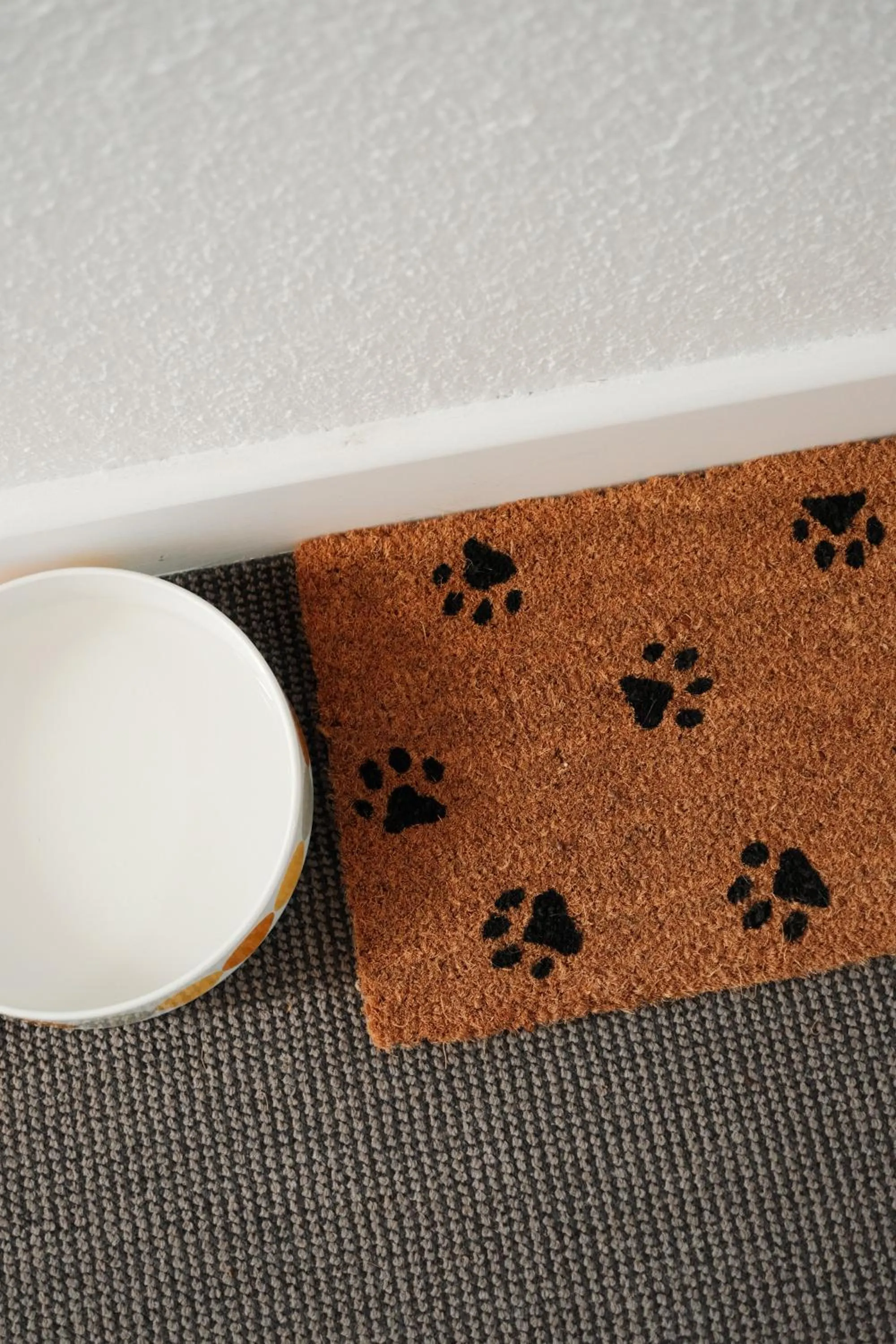 pet friendly in Hôtel Les Fougères - Hossegor