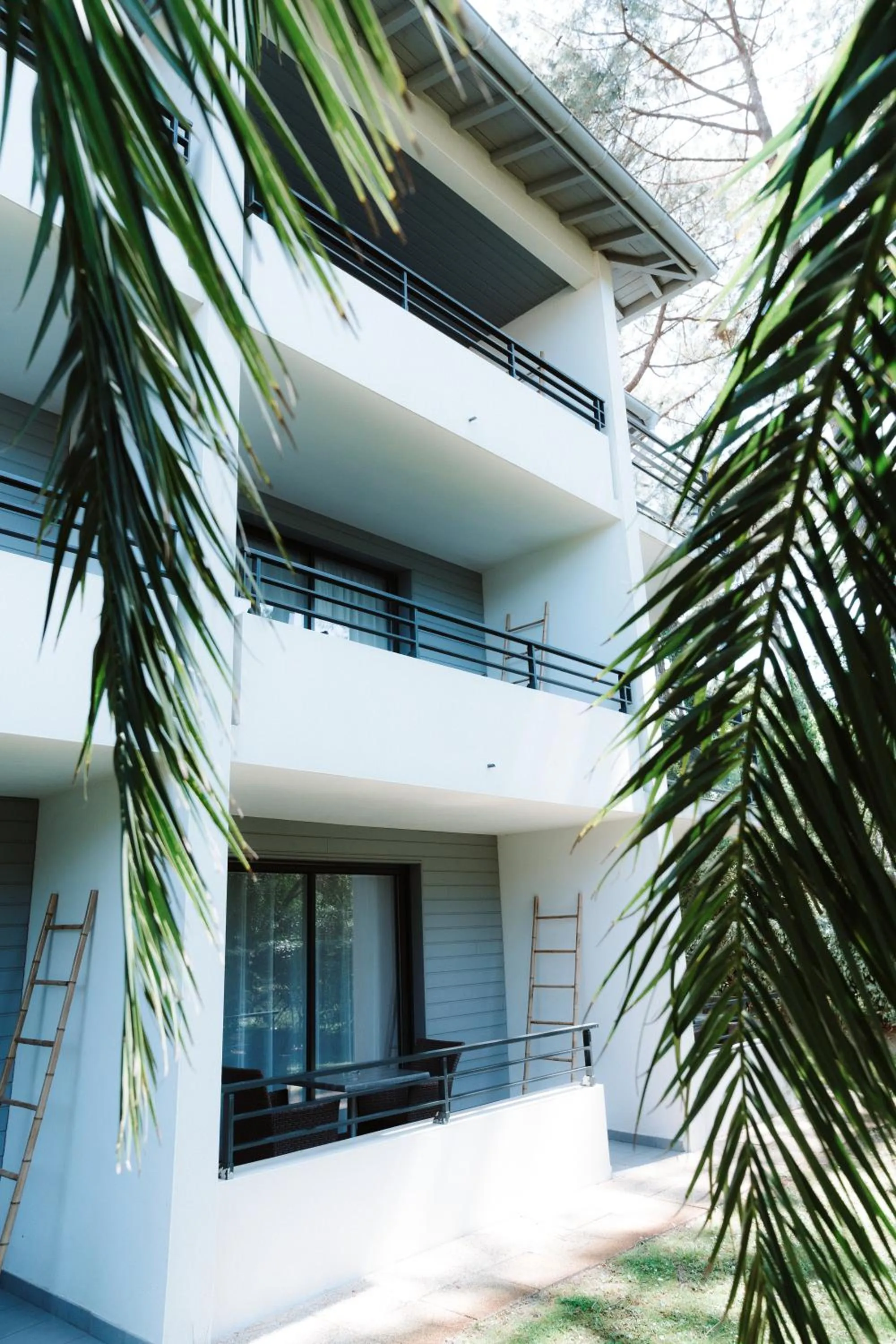 Property building in Hôtel Les Fougères - Hossegor