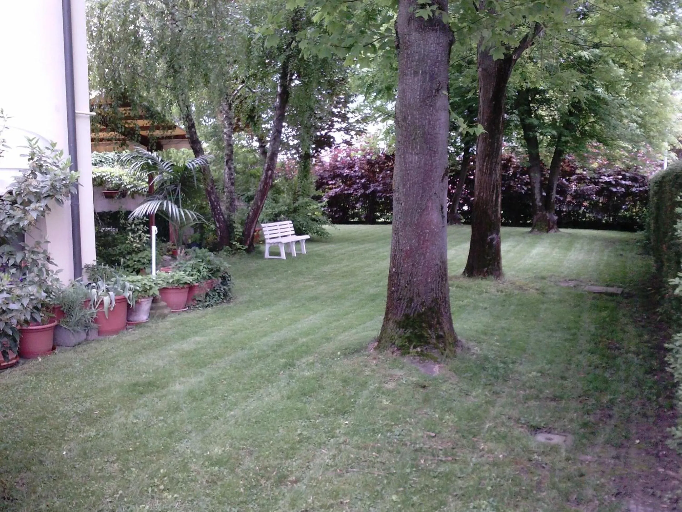 Garden view in Ducathotel