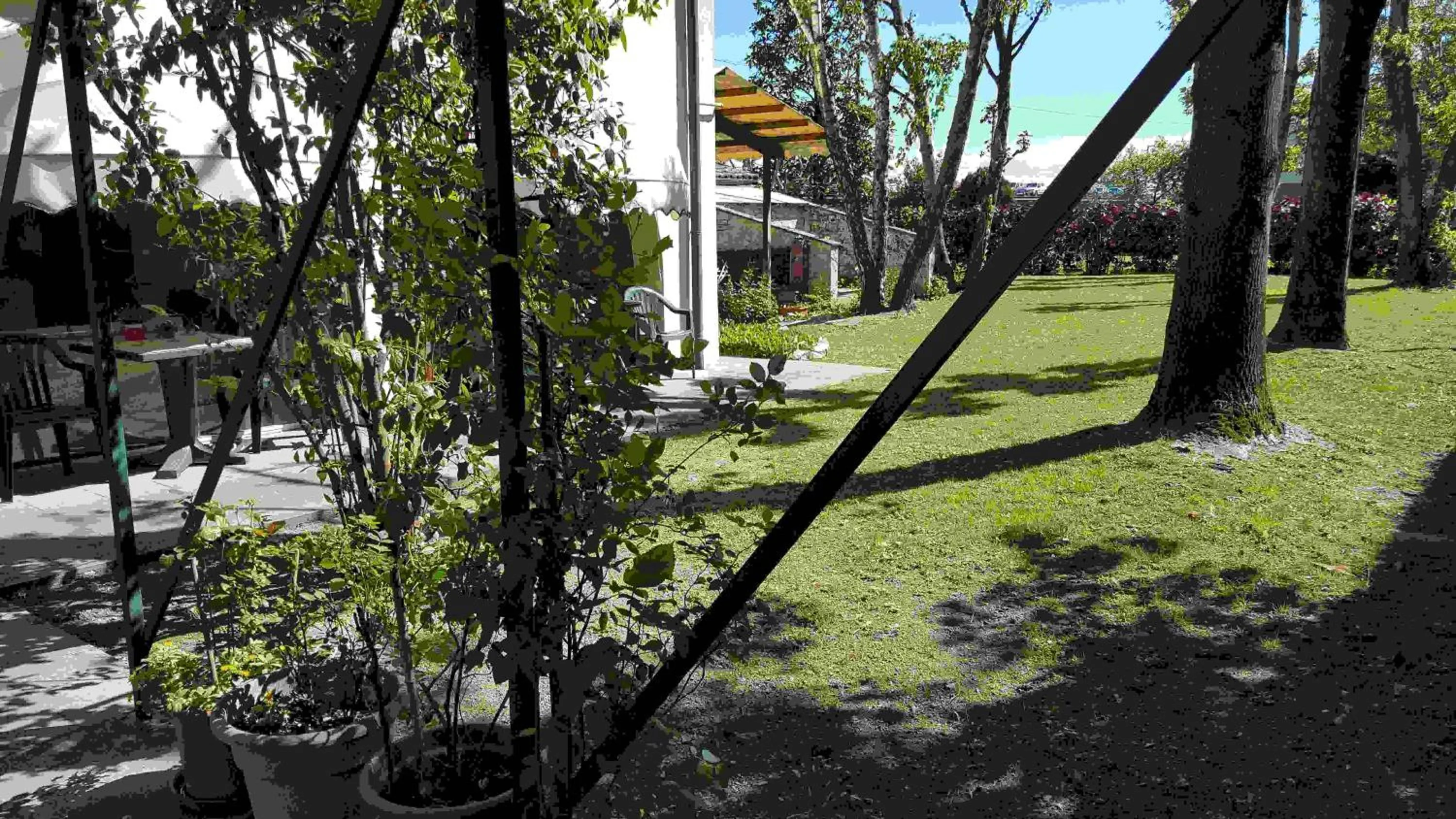 Garden in Ducathotel