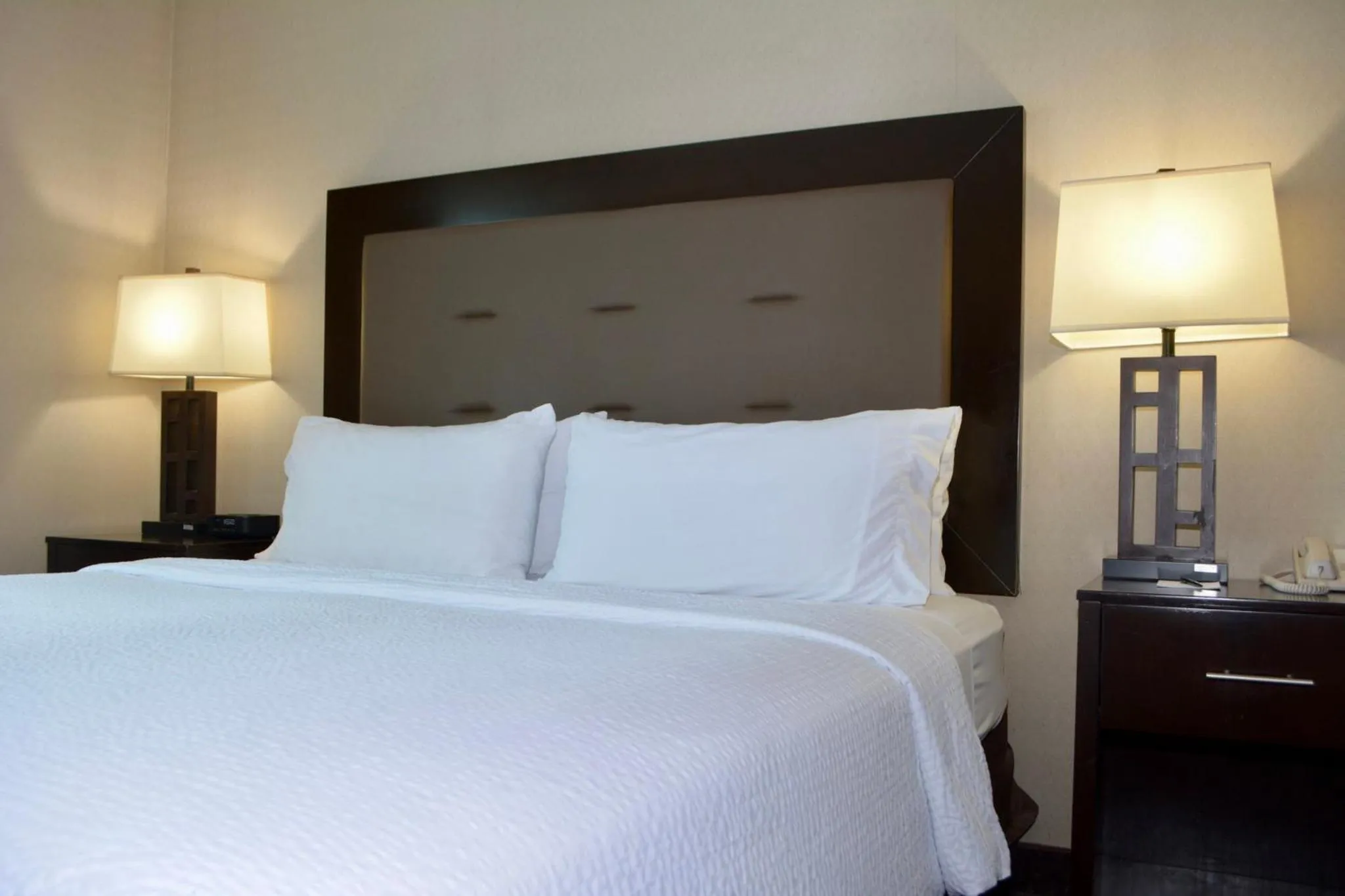 Photo of the whole room, Bed in Holiday Inn Budd Lake - Rockaway Area by IHG