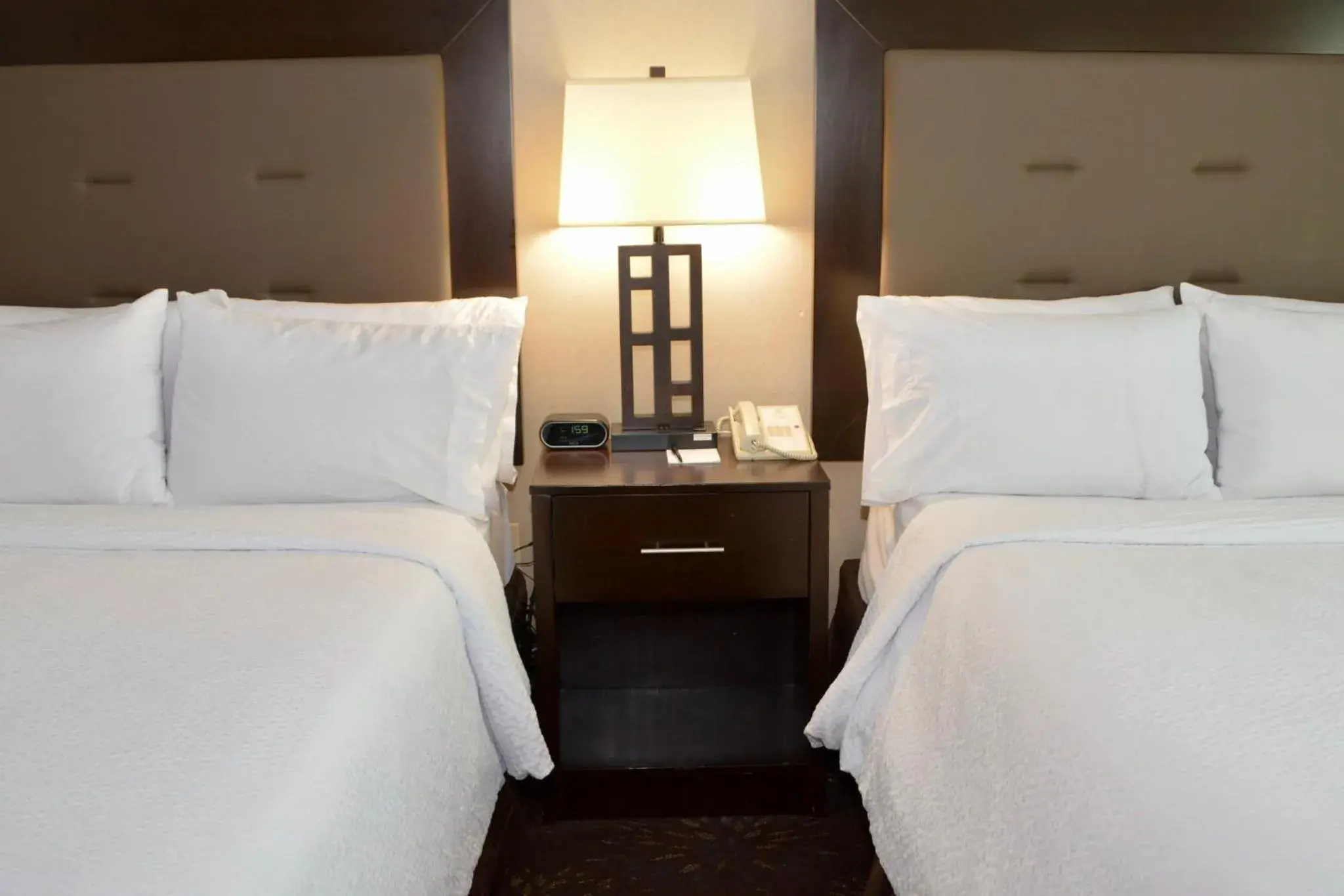 Photo of the whole room, Bed in Holiday Inn Budd Lake - Rockaway Area by IHG Photo of the whole room, Bed in Holiday Inn Budd Lake - Rockaway Area by IHG