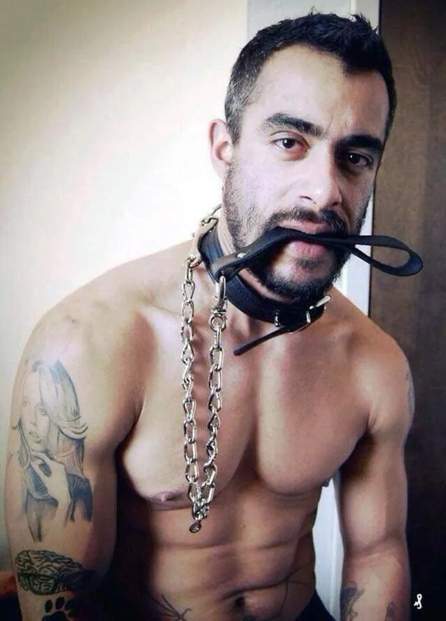 INN LEATHER GUEST HOUSE-GAY MALE ONLY