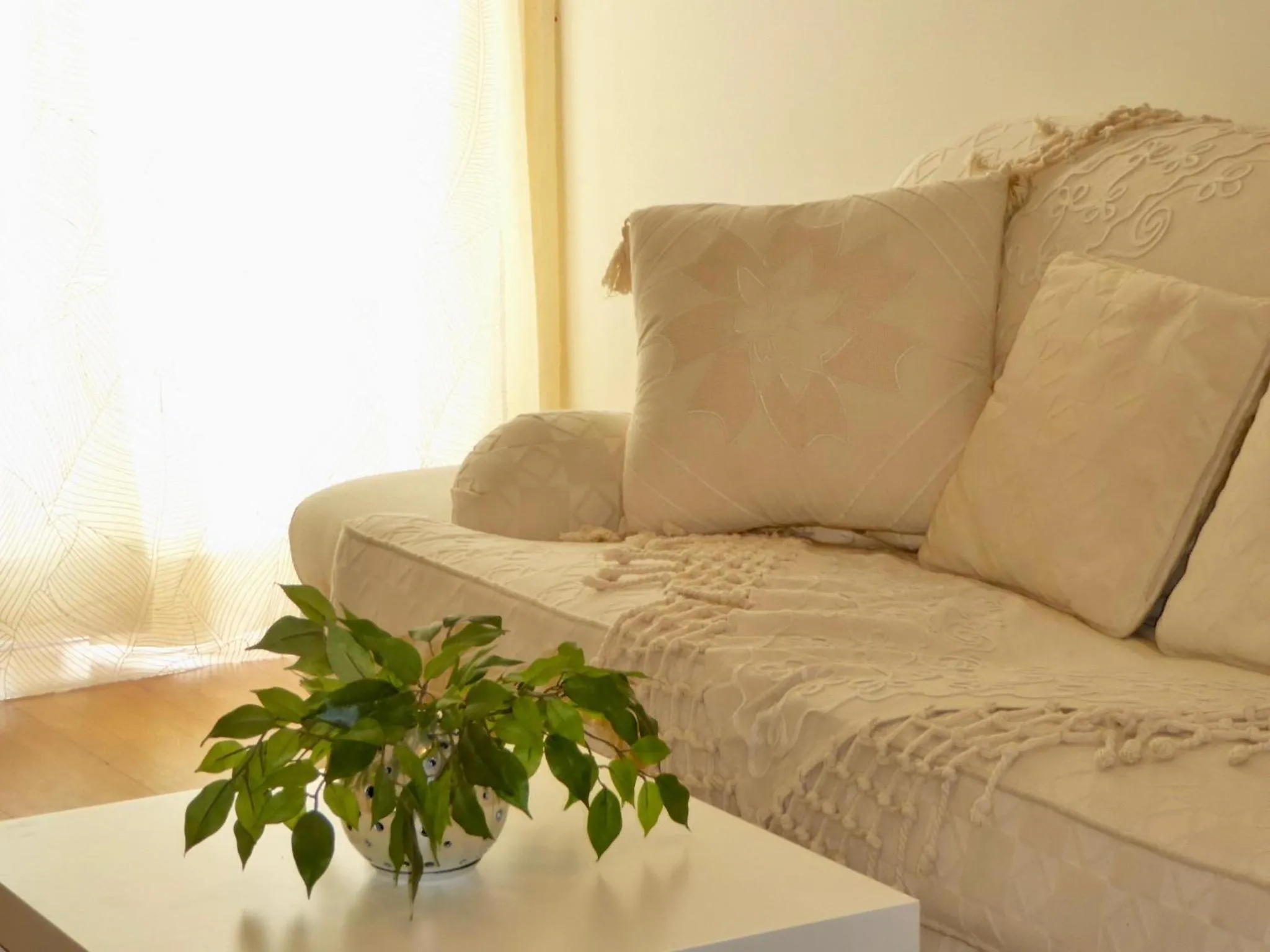 Downtown - Central - 6 Pax - Faro