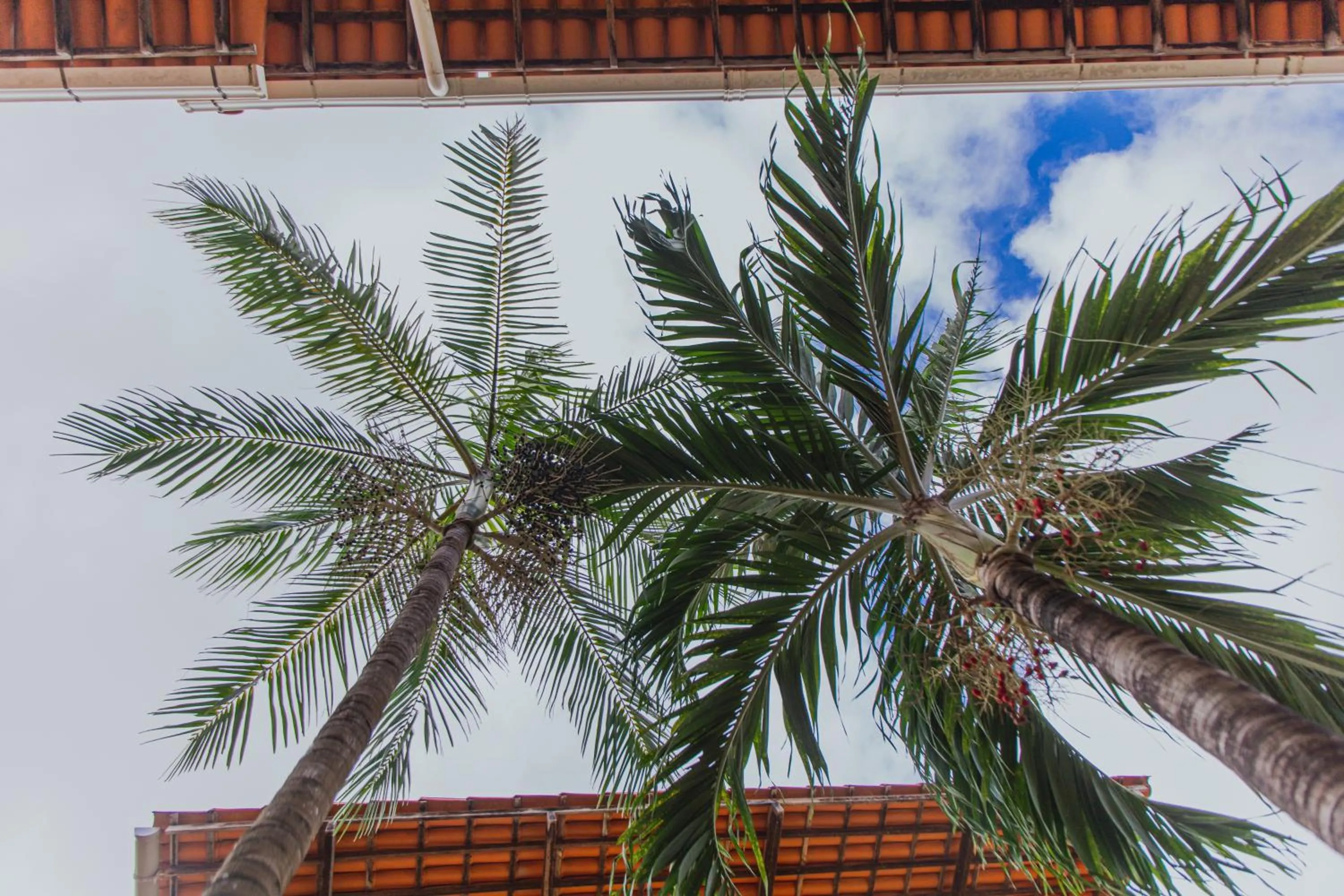 Floor plan in Pousada D' Areia