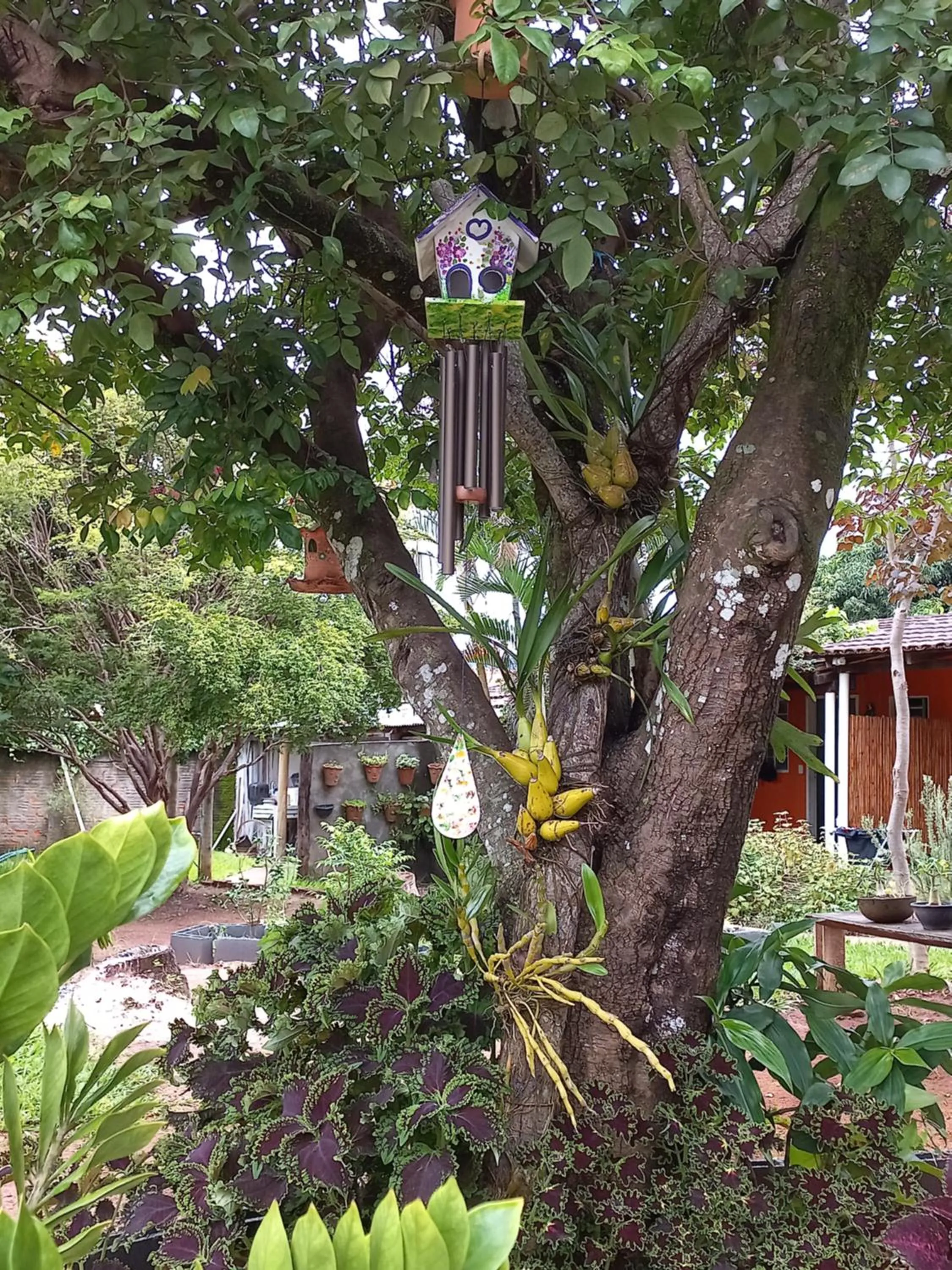 Garden in Pousada Veadeiros - Alto Paraiso de Goiás