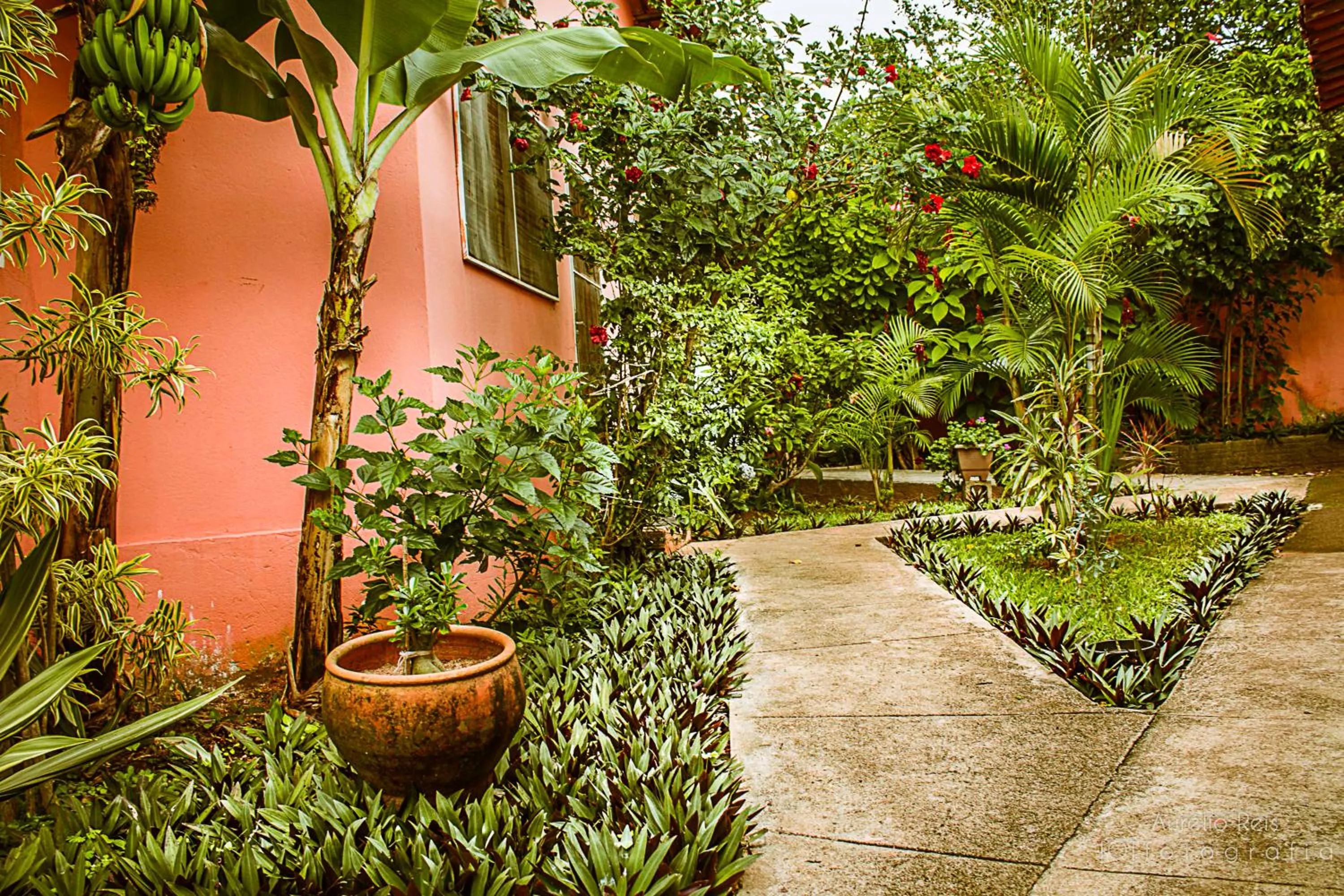 Garden in Pousada Veadeiros - Alto Paraiso de Goiás