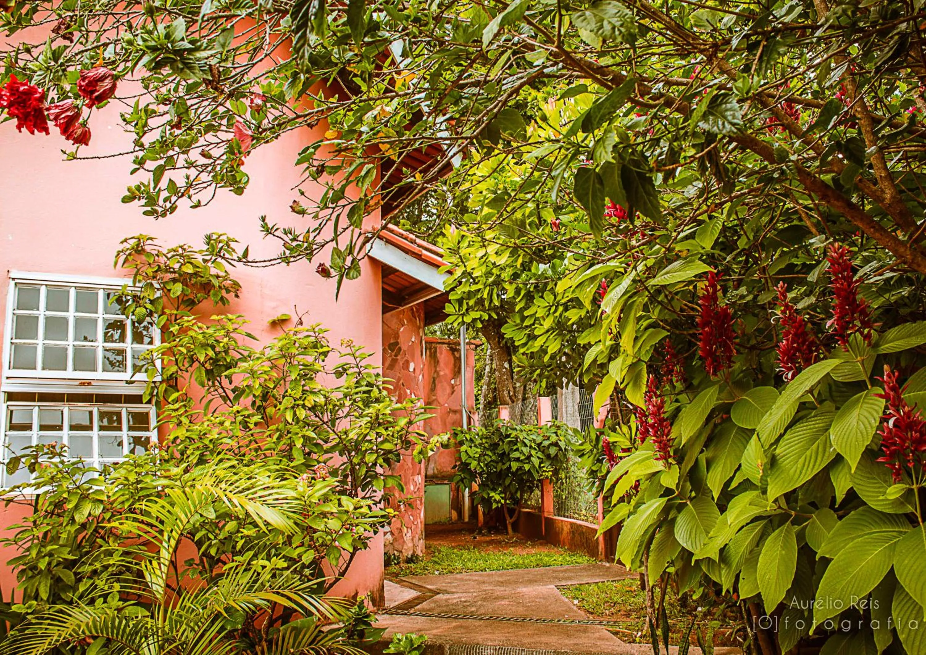 Garden in Pousada Veadeiros - Alto Paraiso de Goiás